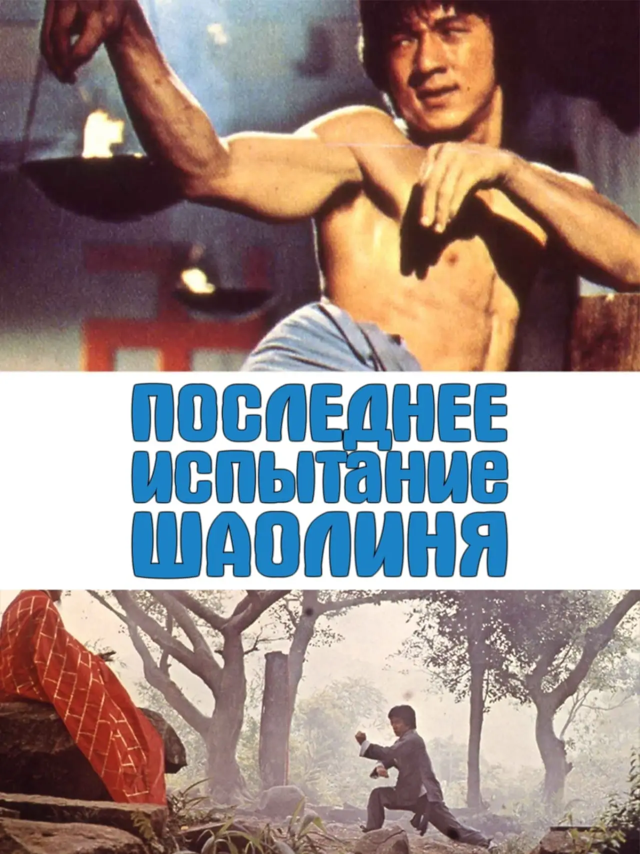 Постер к фильму "Последнее испытание Шаолиня"