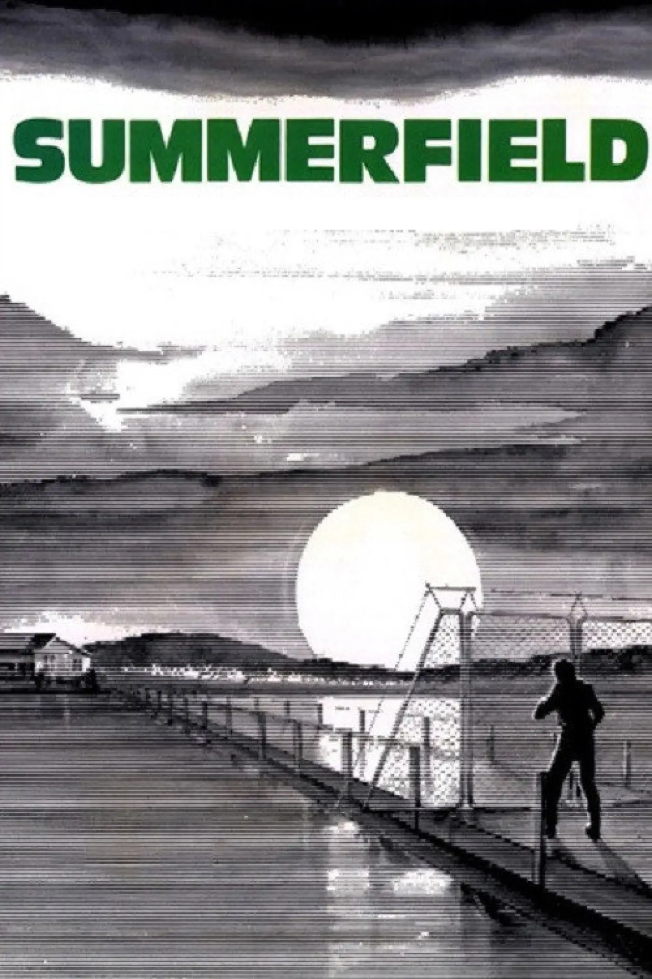 Постер к фильму "Summerfield"