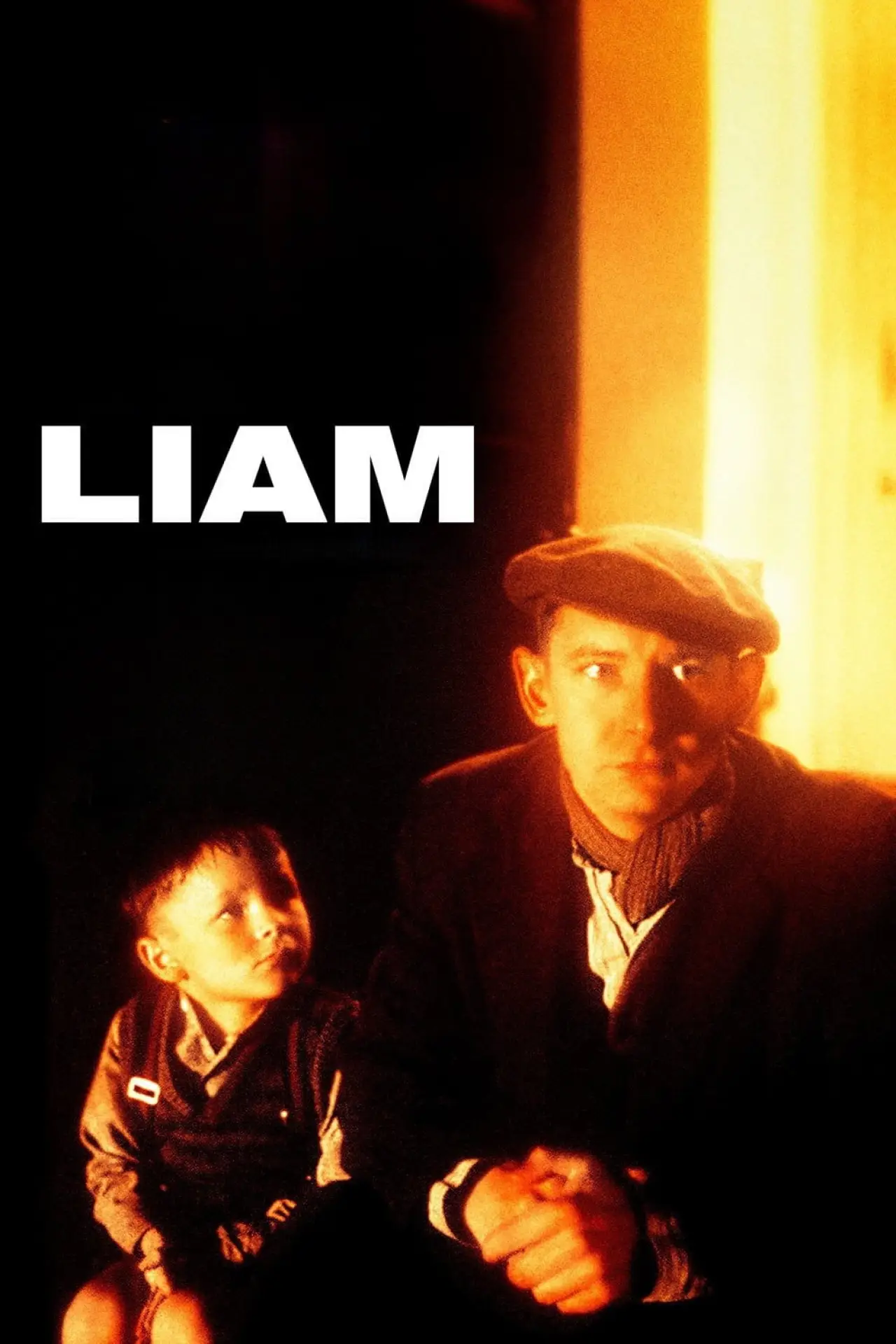 Постер к фильму "Liam"