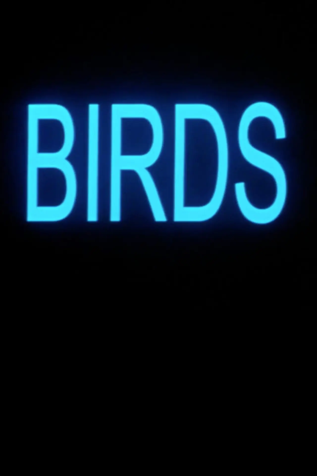 Постер к фильму "Birds"