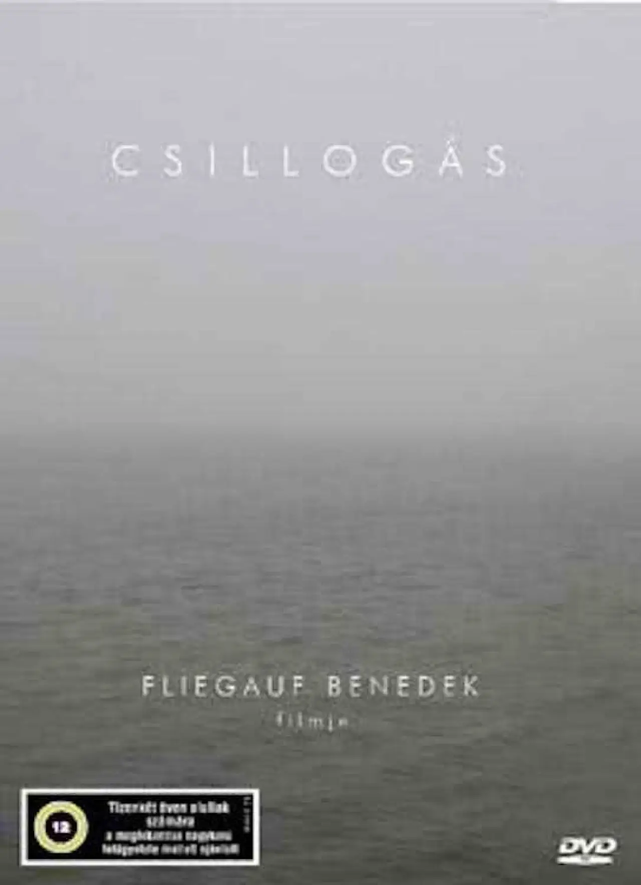 Постер к фильму "Csillogás"