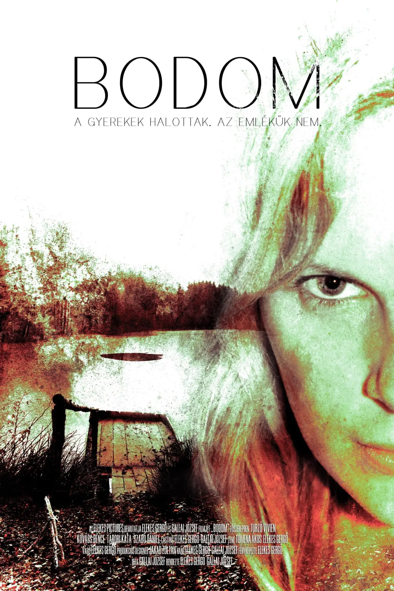 Постер к фильму "Bodom"
