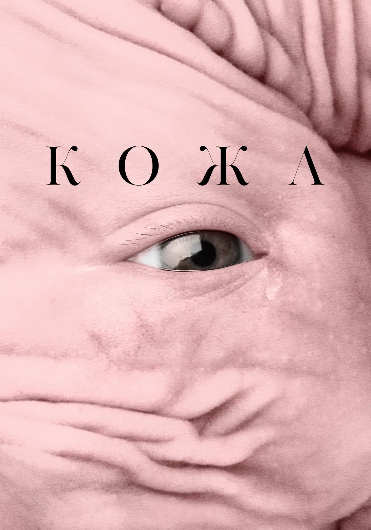 Постер к фильму "Кожа"