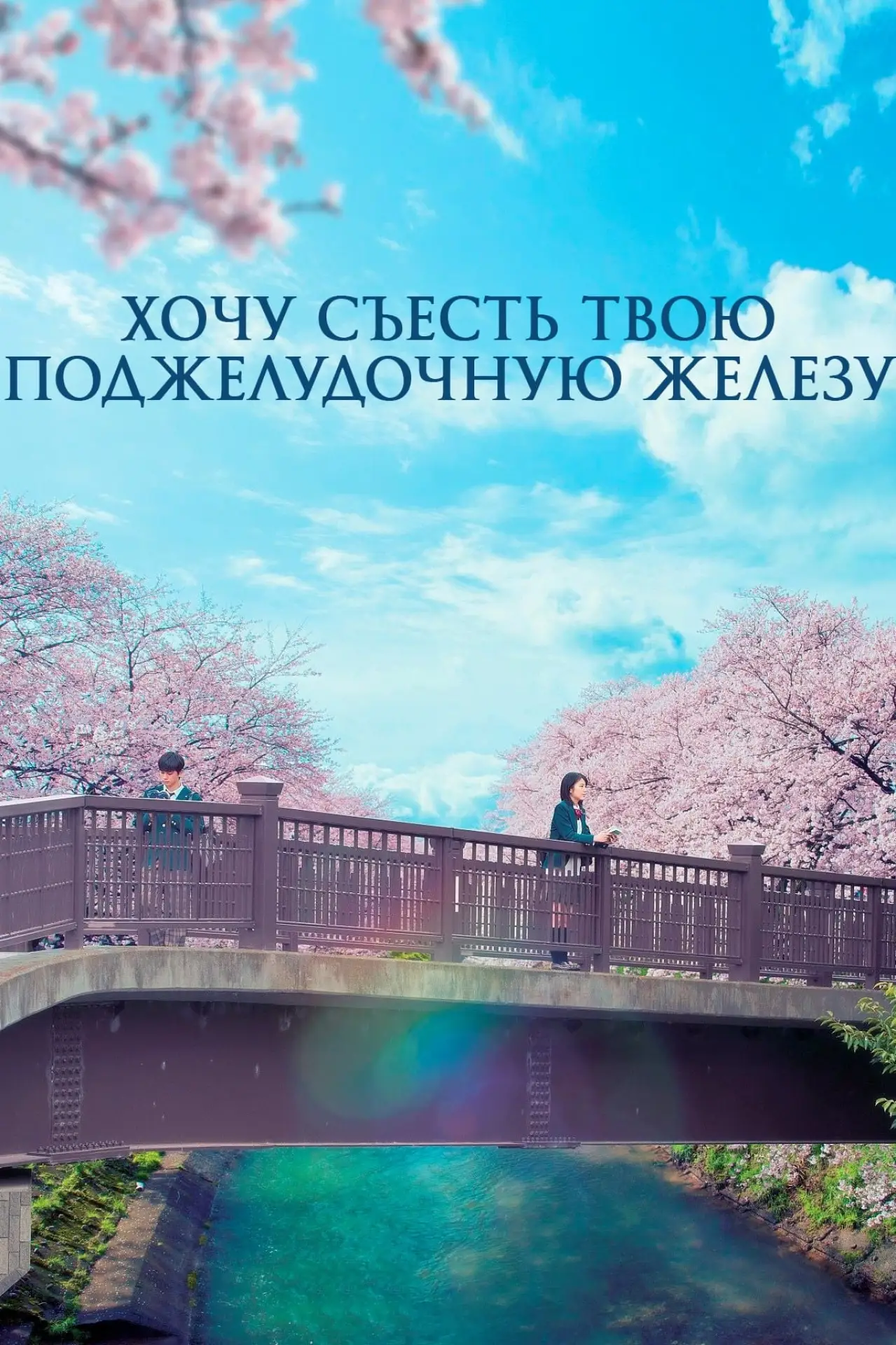 Постер к фильму "Хочу съесть твою поджелудочную железу"
