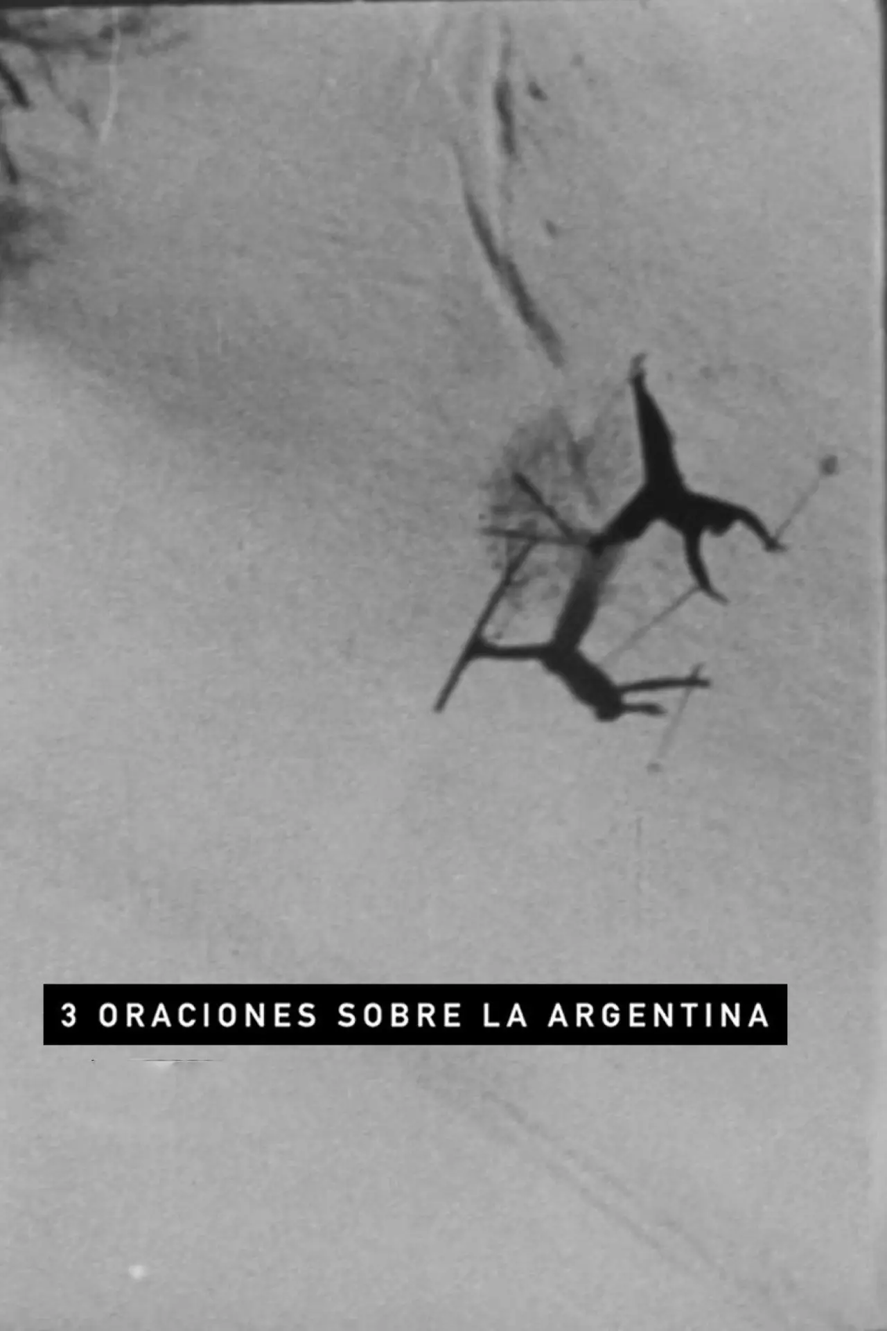 Постер к фильму "Tres oraciones sobre la Argentina"