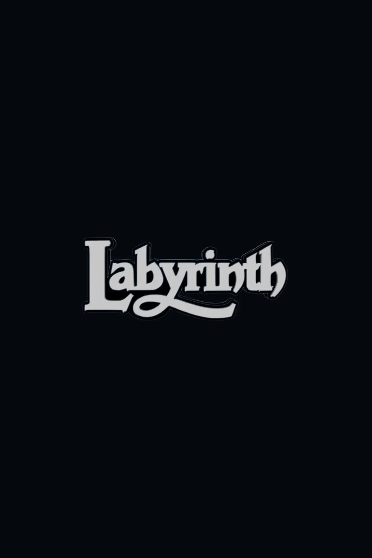 Постер к фильму "Labyrinth 2"