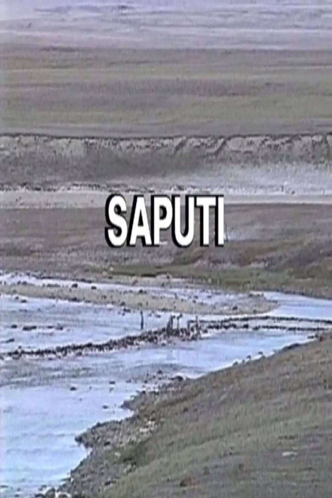 Постер к фильму "Saputi"