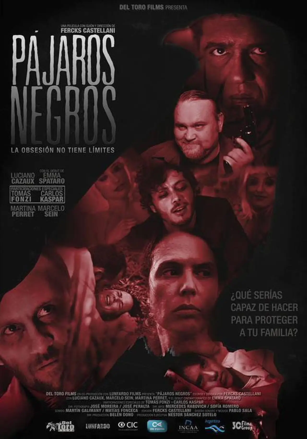 Постер к фильму "Pájaros negros"
