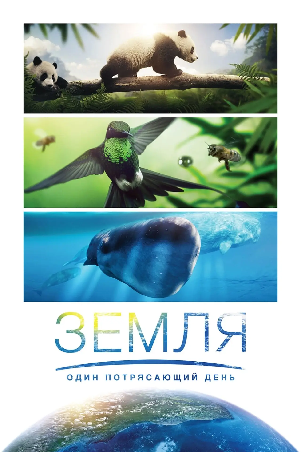 Постер к фильму "Земля: Один потрясающий день"