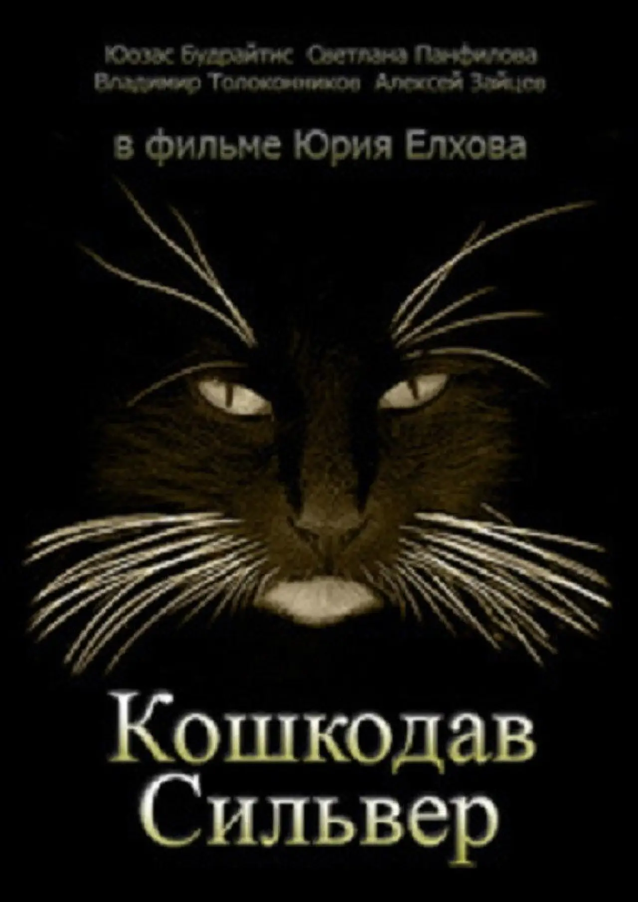 Постер к фильму "Кошкодав Сильвер"