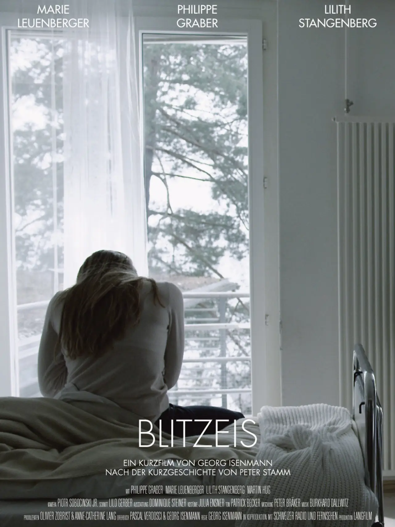 Постер к фильму "Blitzeis"