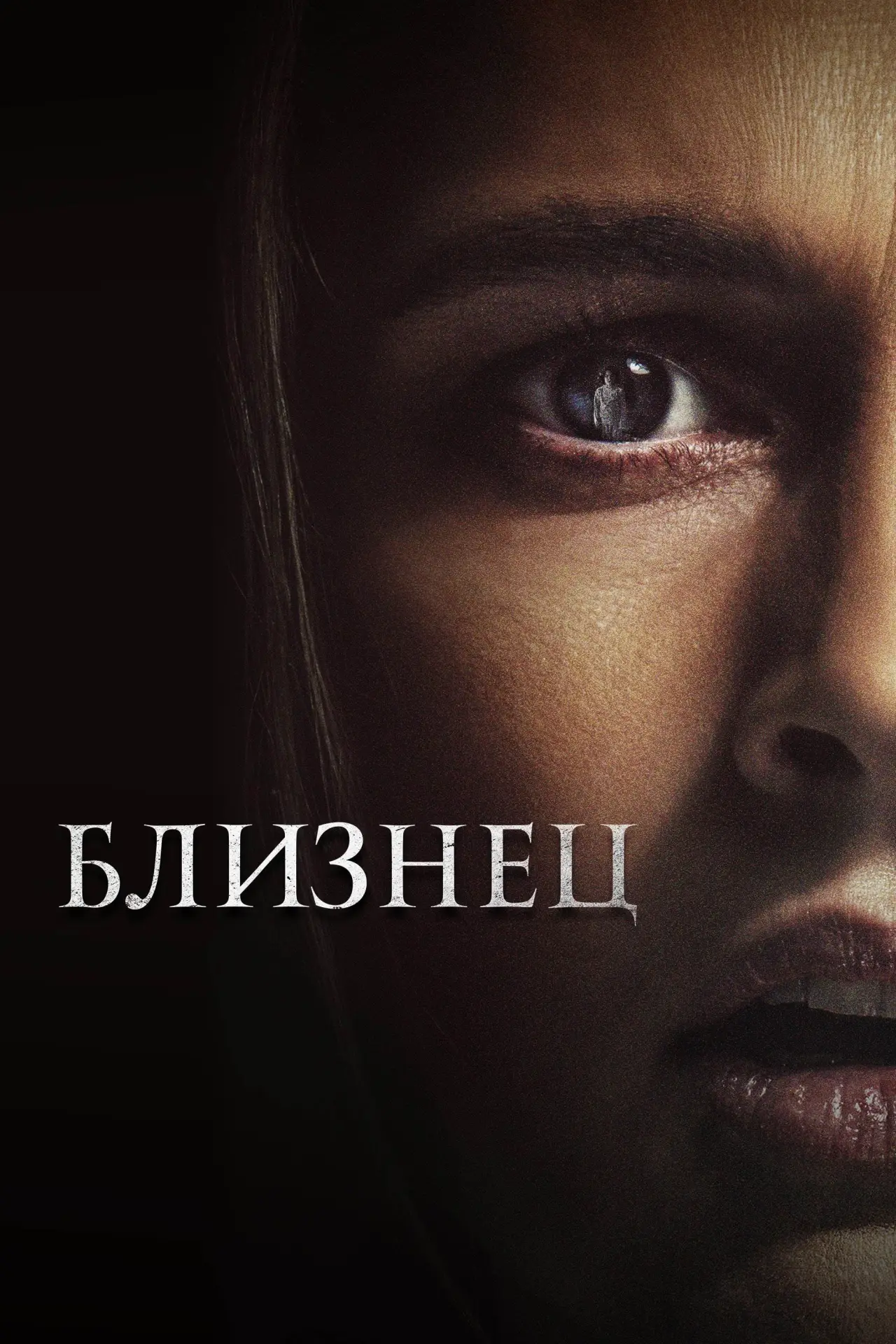 Постер к фильму "Близнец"