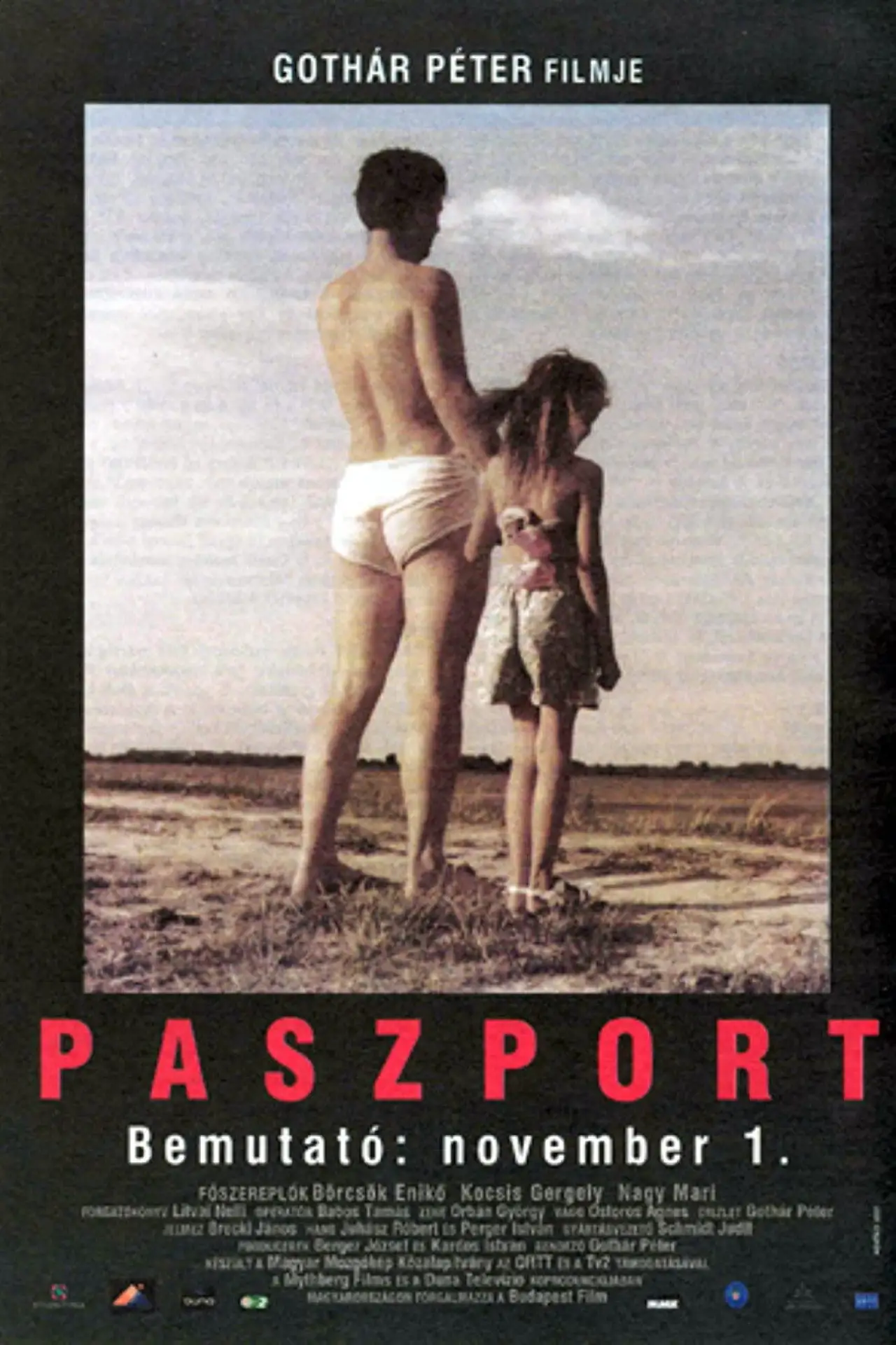 Постер к фильму "Paszport"