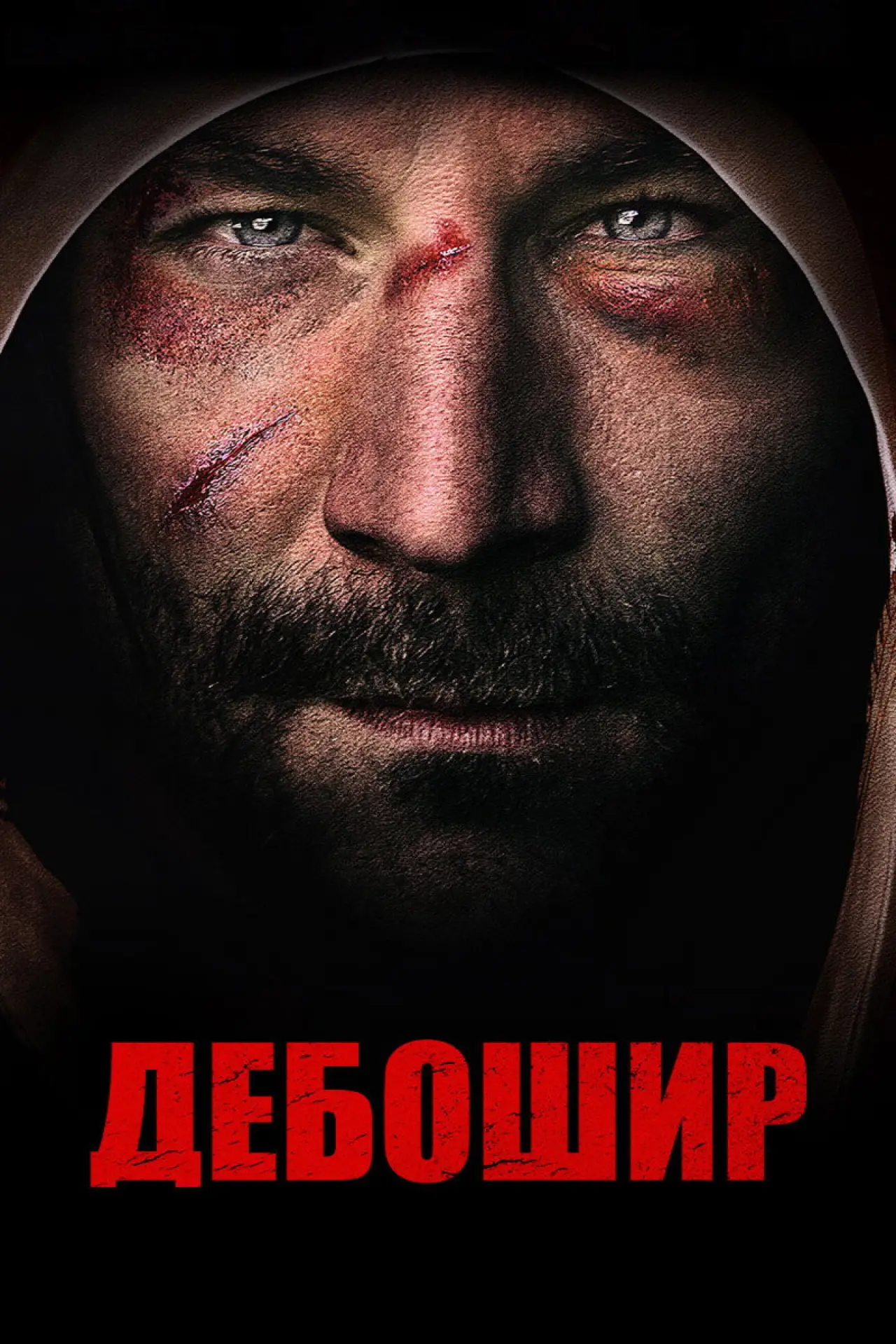 Постер к фильму "Дебошир"