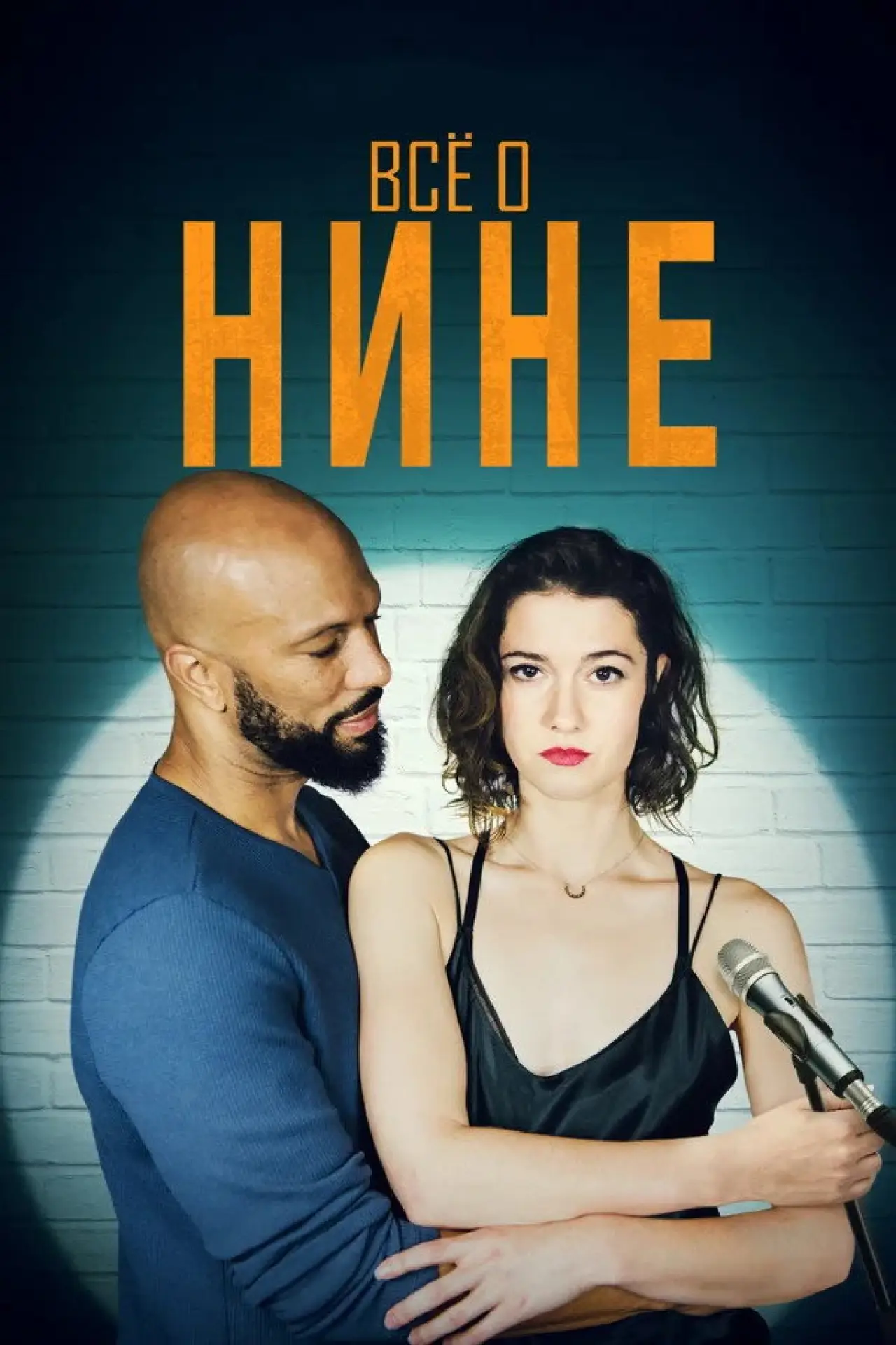 Постер к фильму "Все о Нине"