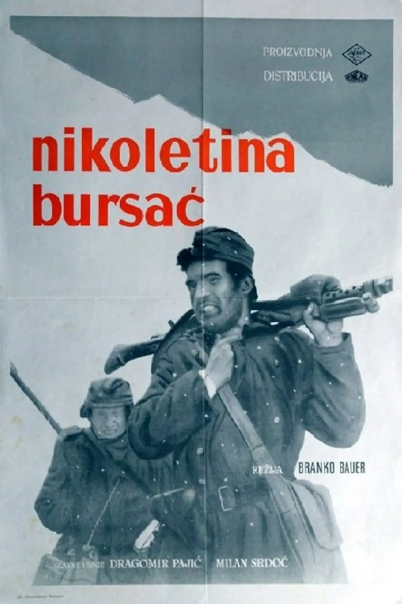 Постер к фильму "Nikoletina Bursać"