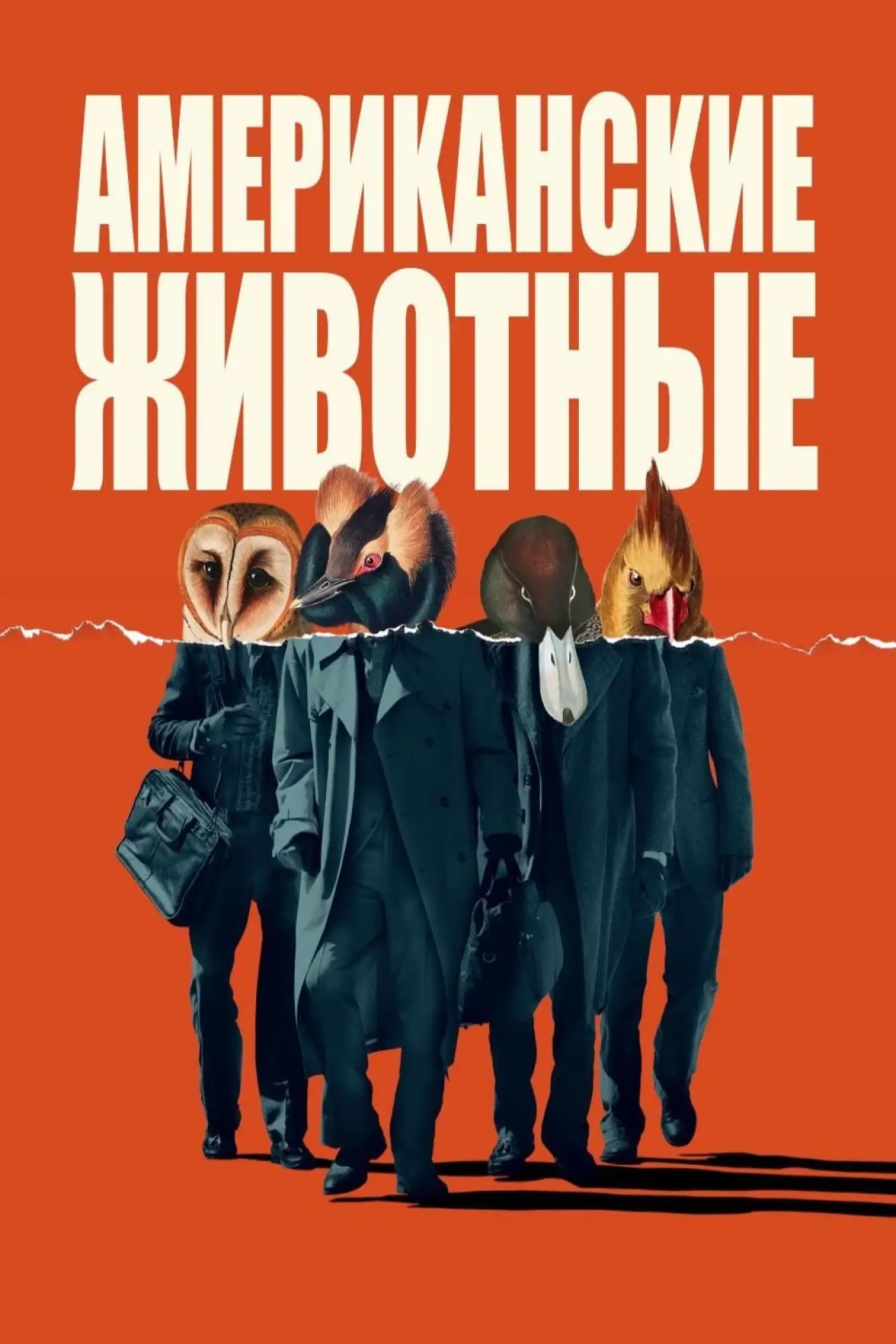 Постер к фильму "Американские животные"