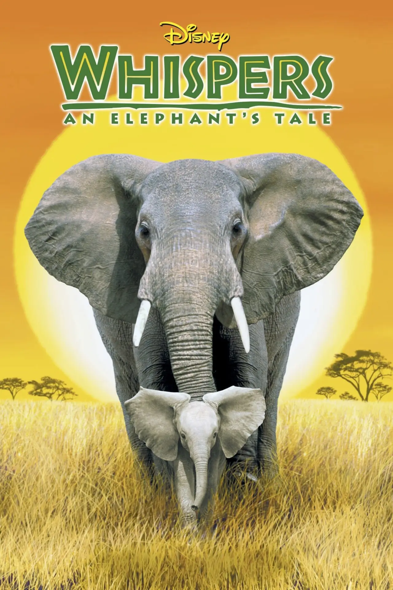 Постер к фильму "Whispers: An Elephant