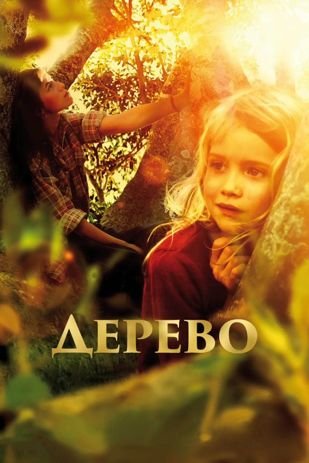 Постер к фильму "Дерево"
