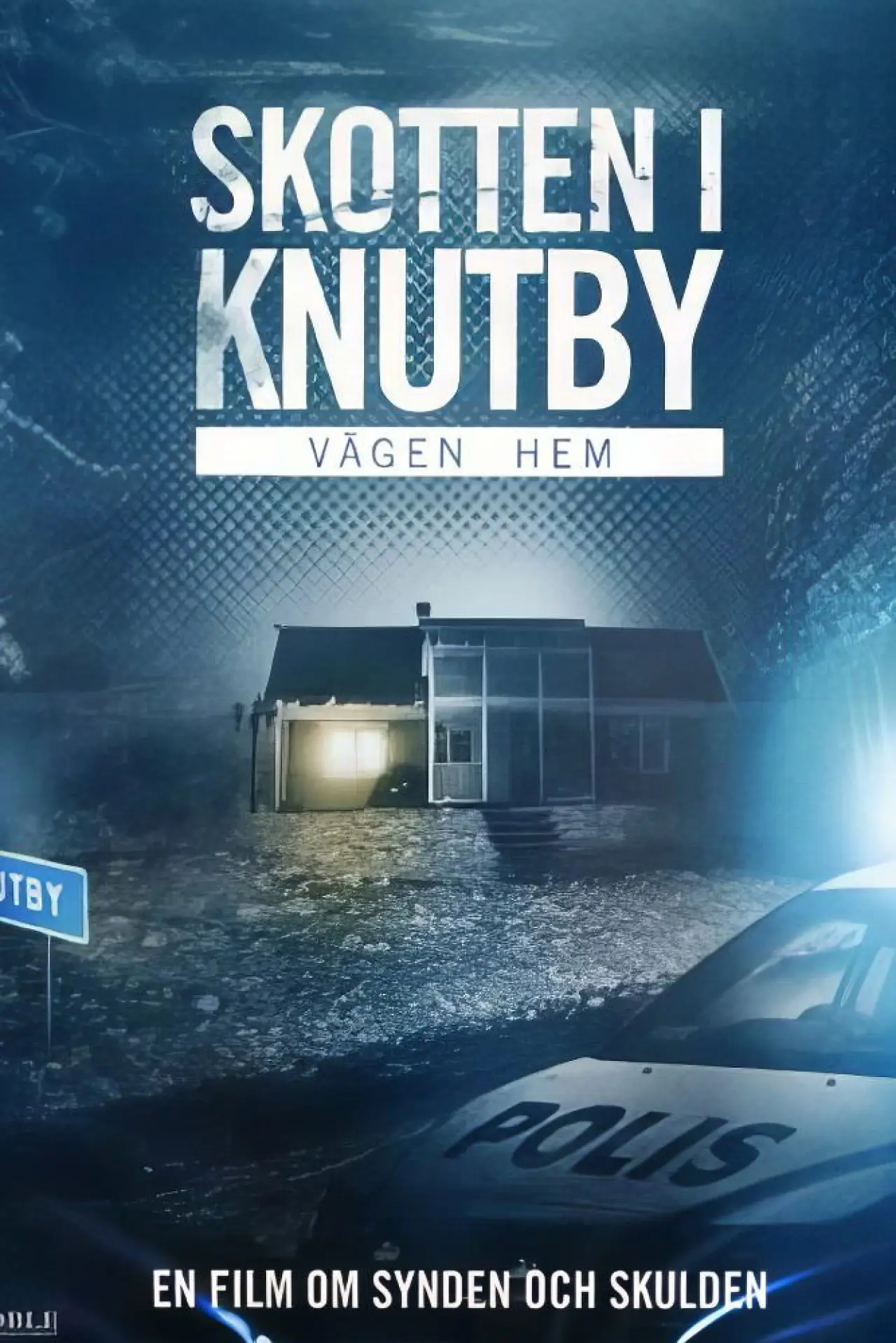Постер к фильму "Vägen hem"