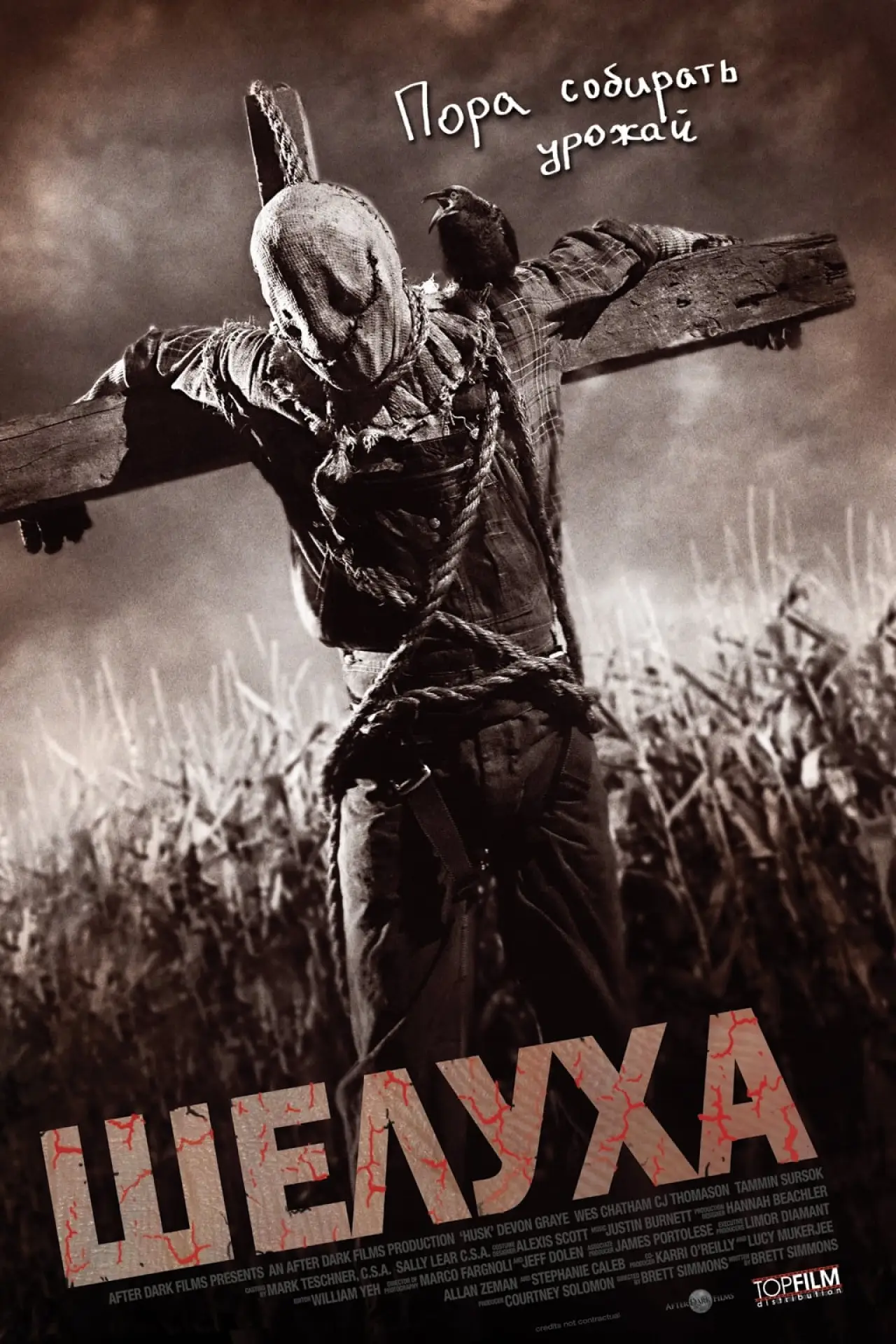 Постер к фильму "Шелуха"