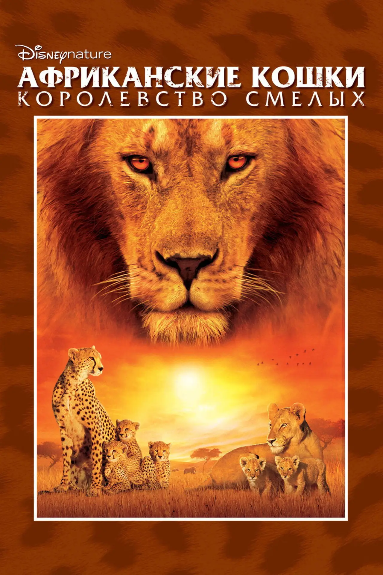Постер к фильму "Африканские кошки: Королевство смелых"