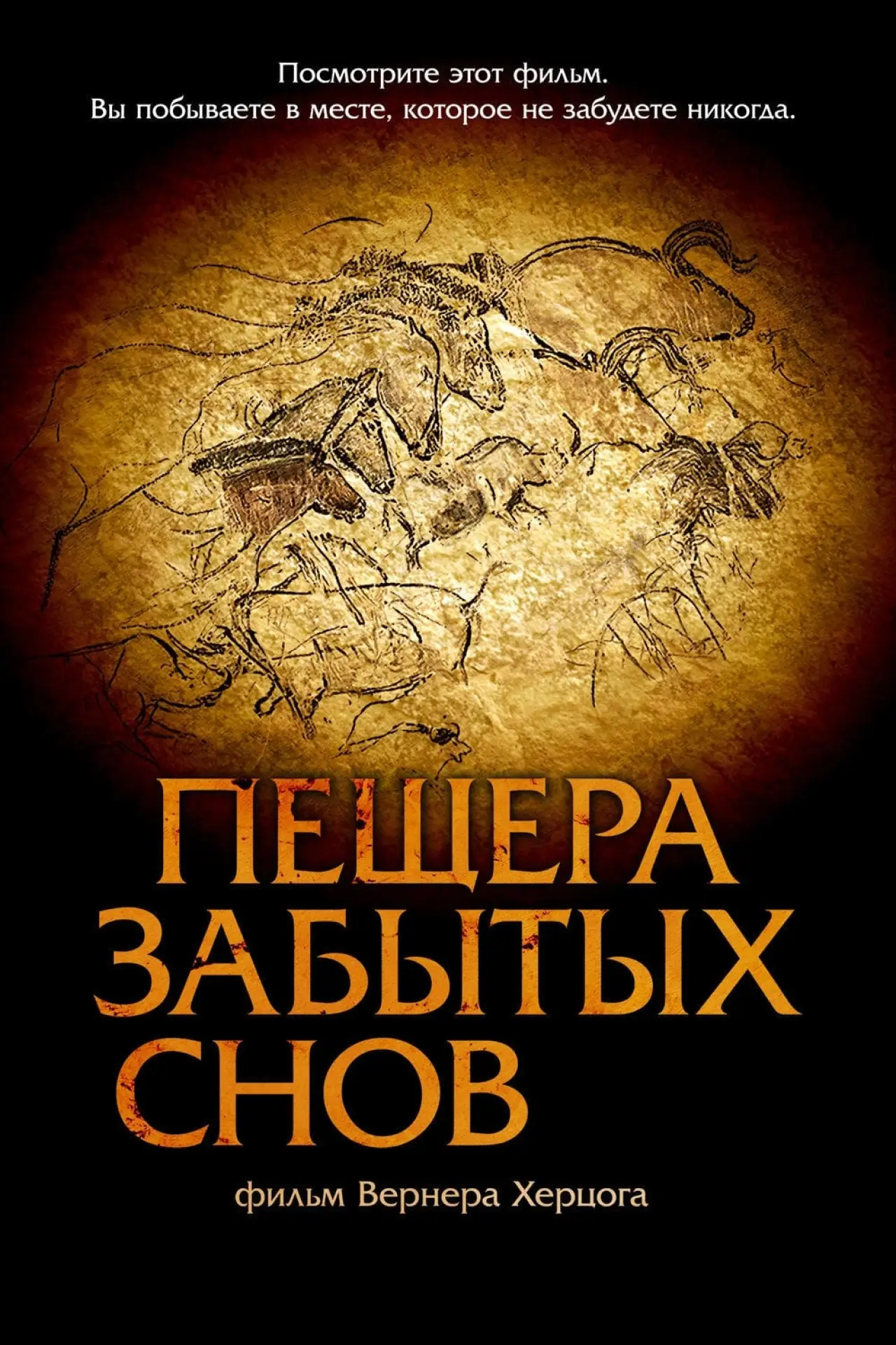 Постер к фильму "Пещера забытых снов"