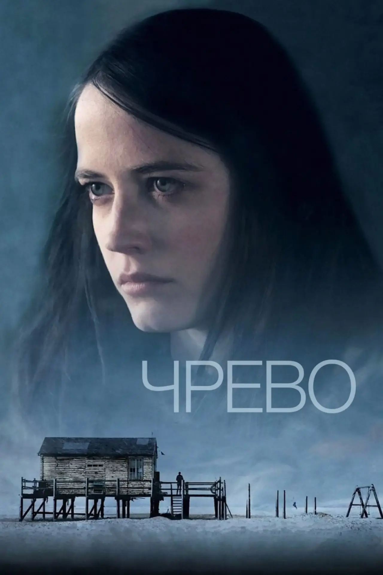 Постер к фильму "Чрево"