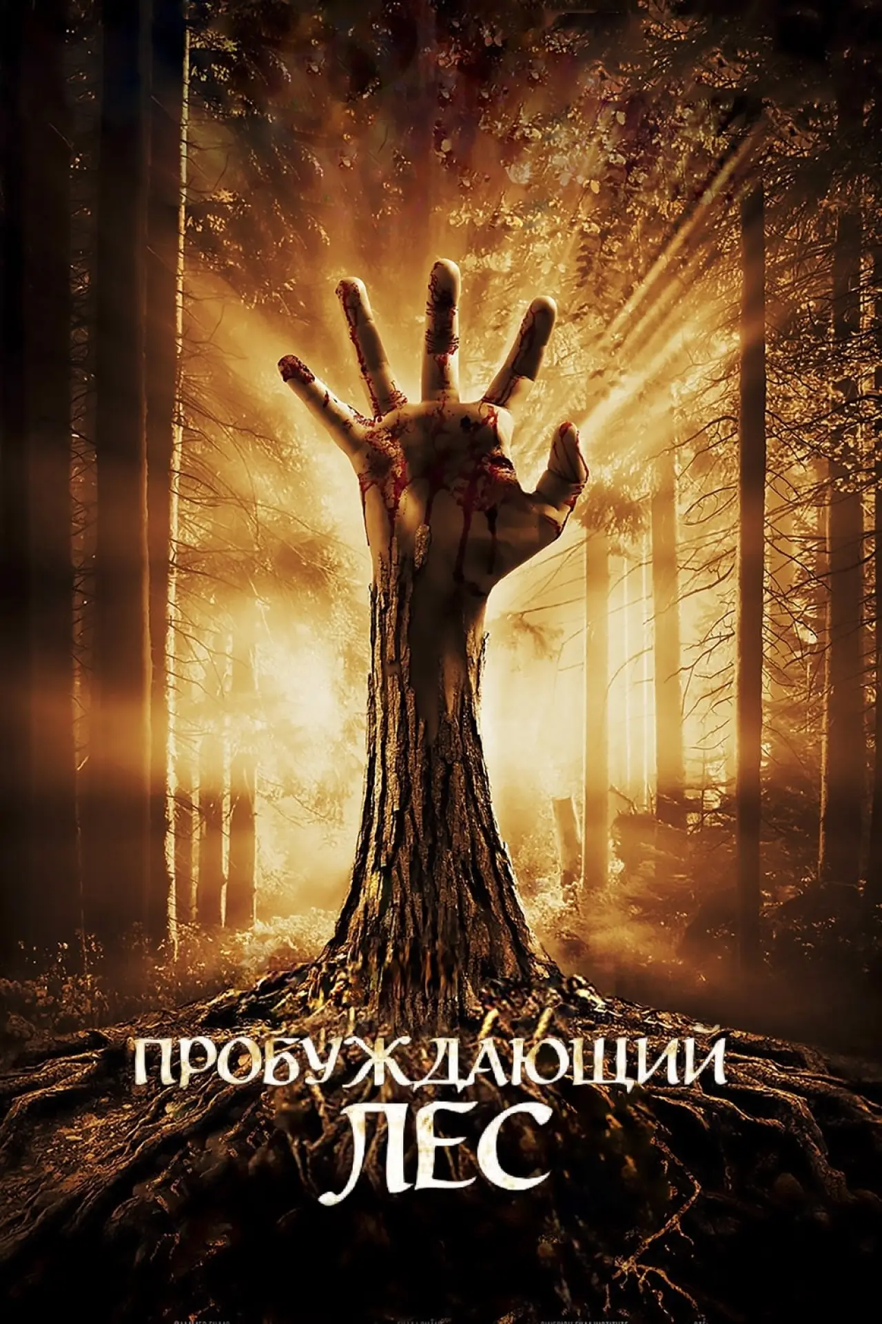 Постер к фильму "Пробуждающий лес"