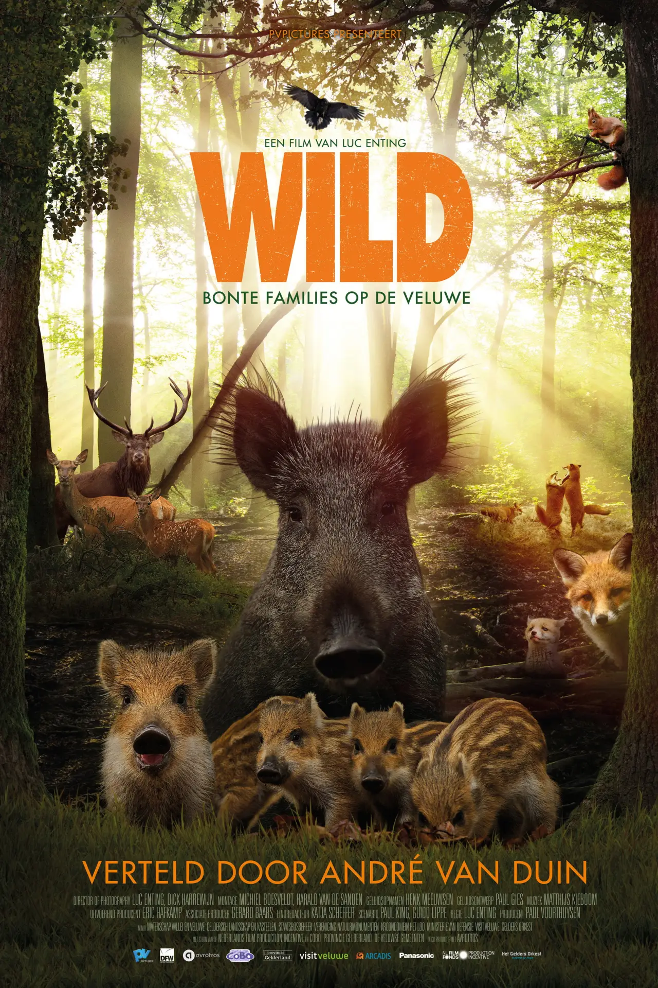 Постер к фильму "Wild"