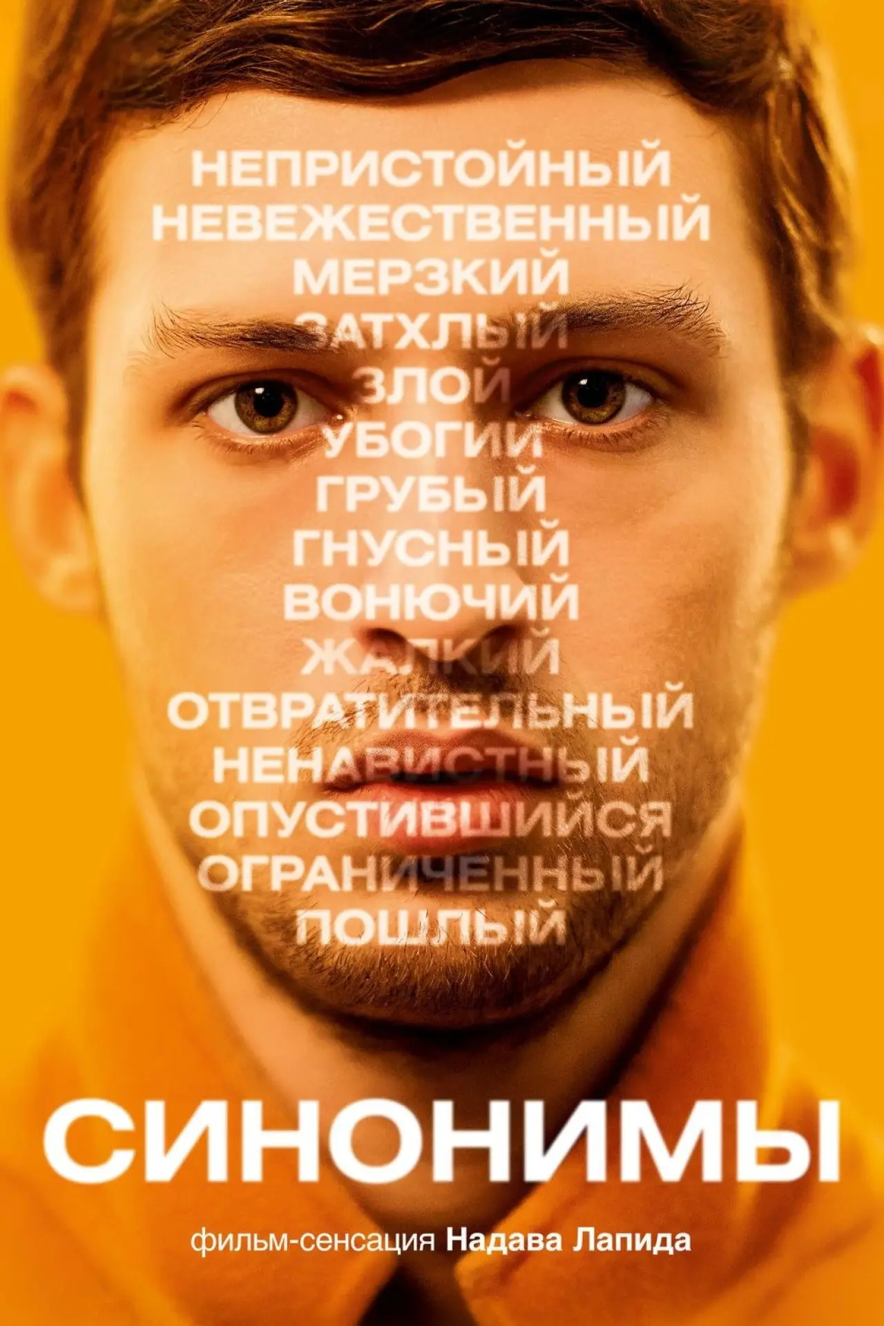 Постер к фильму "Синонимы"