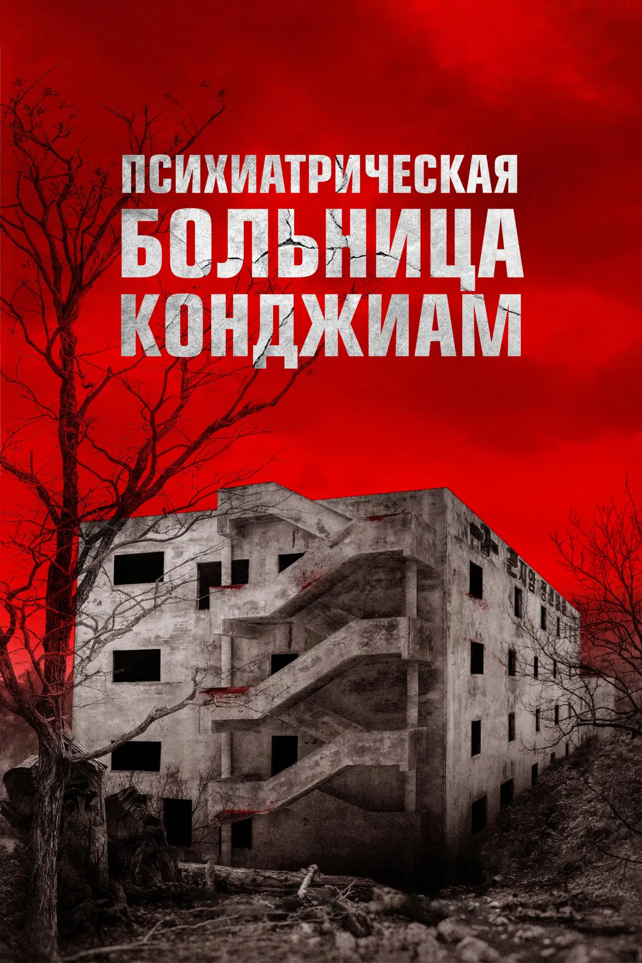 Постер к фильму "Психиатрическая больница Конджиам"