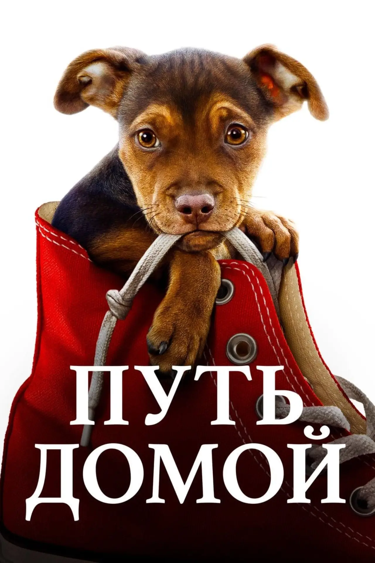 Постер к фильму "Путь домой"