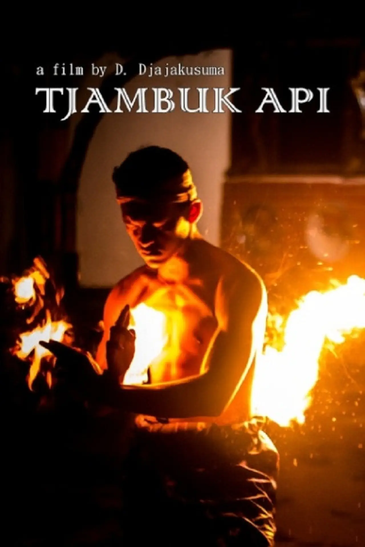Постер к фильму "Whips of Fire"