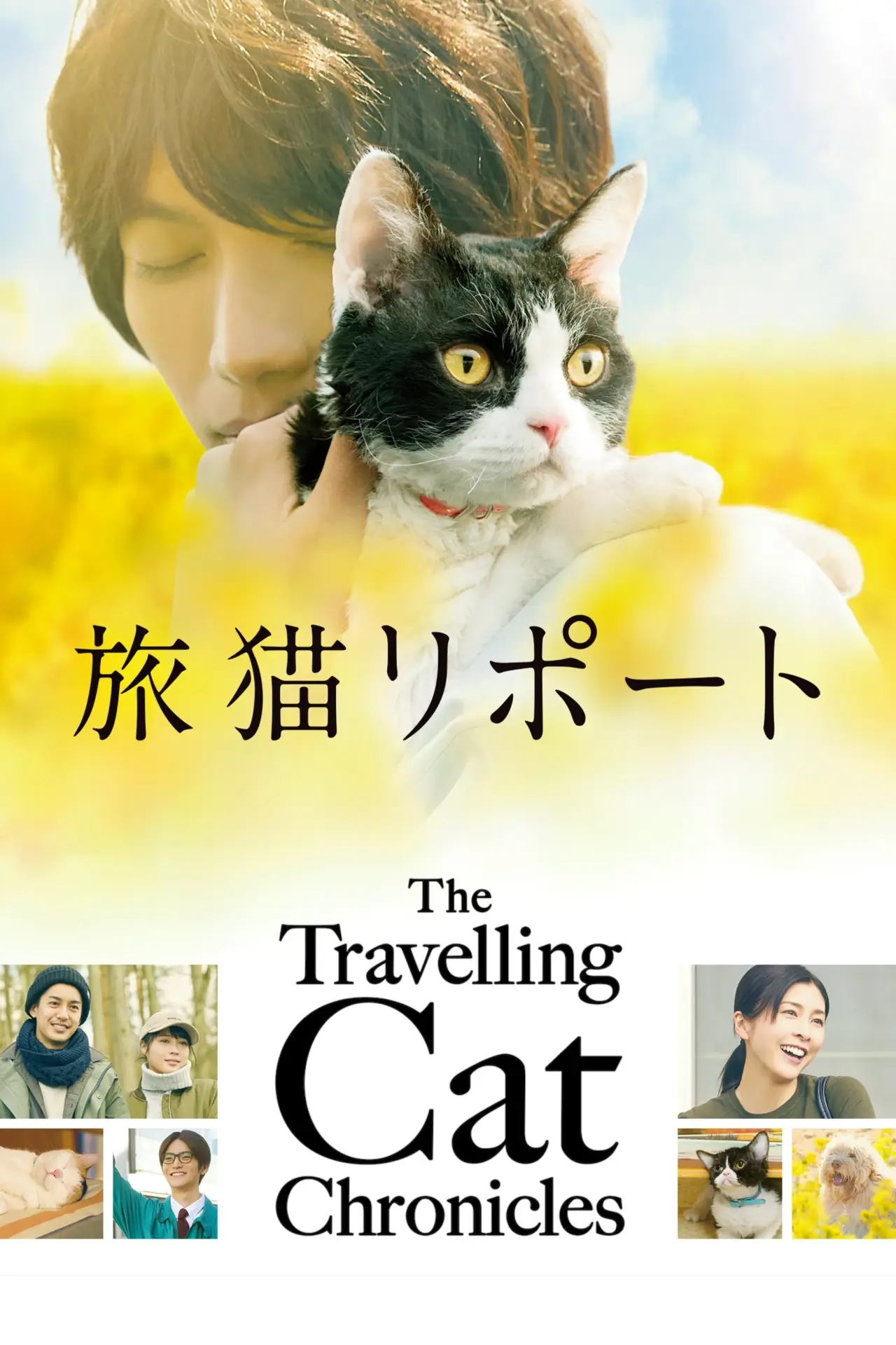 Постер к фильму "旅猫リポート"