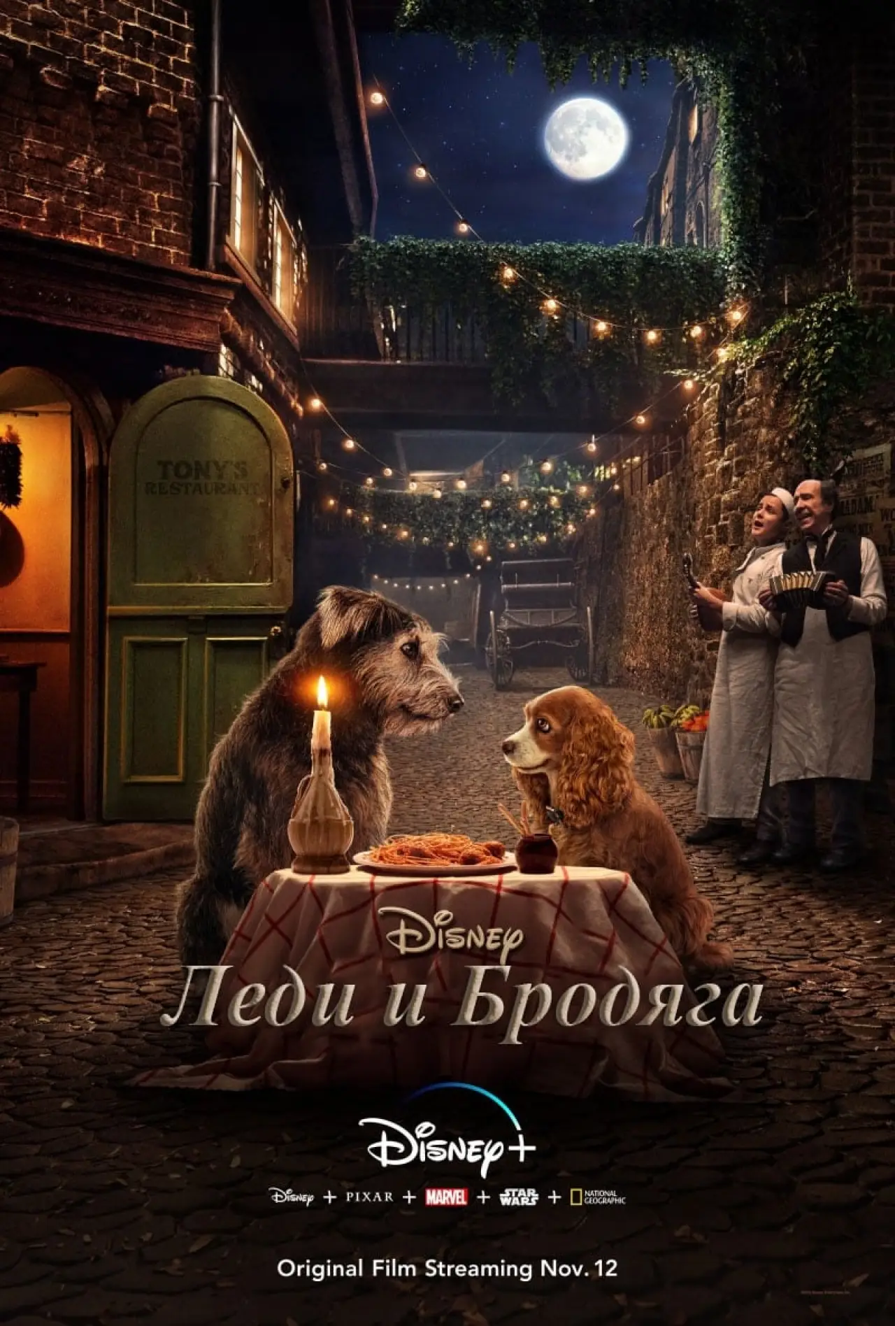 Постер к фильму "Леди и Бродяга"