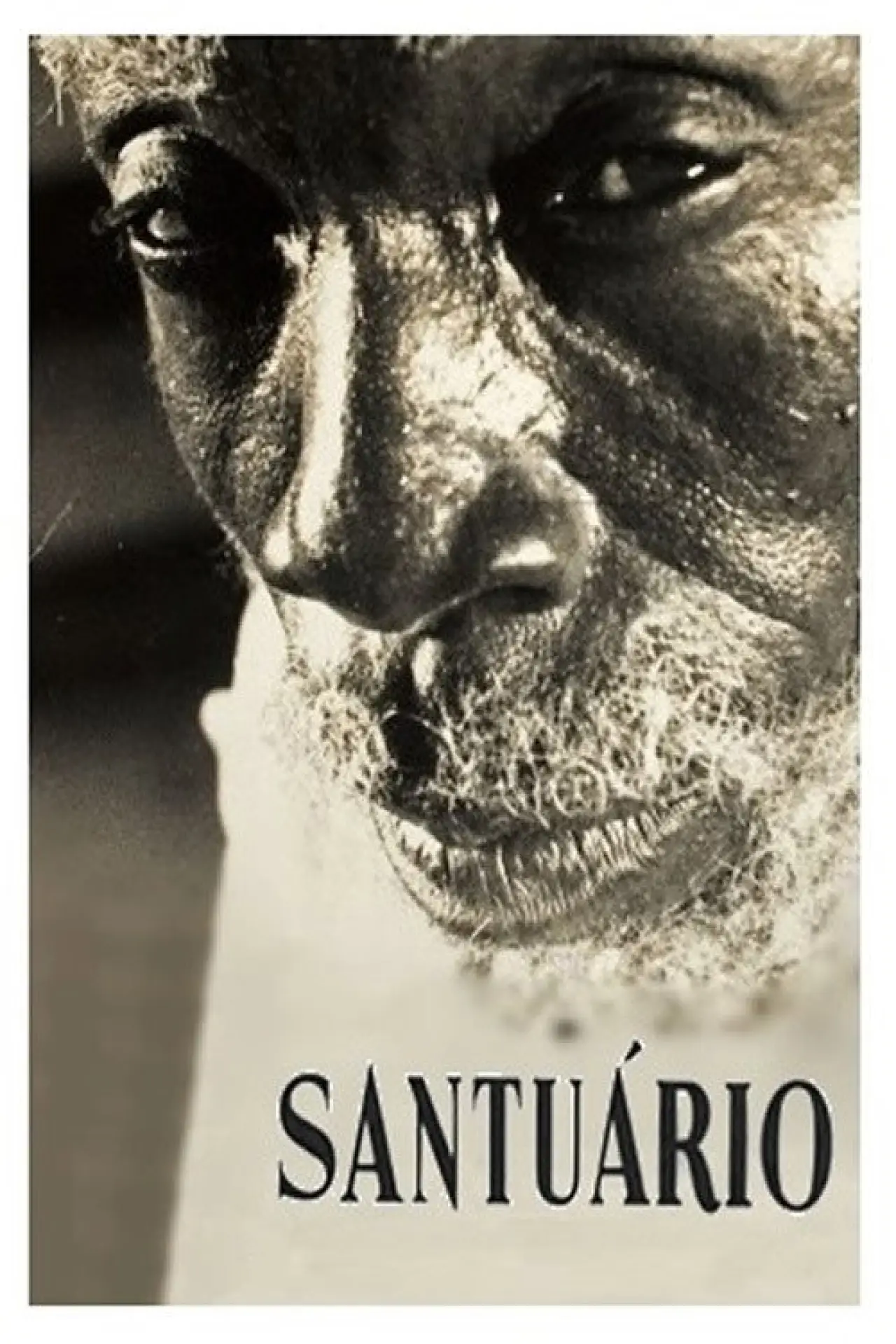 Постер к фильму "Santuário"