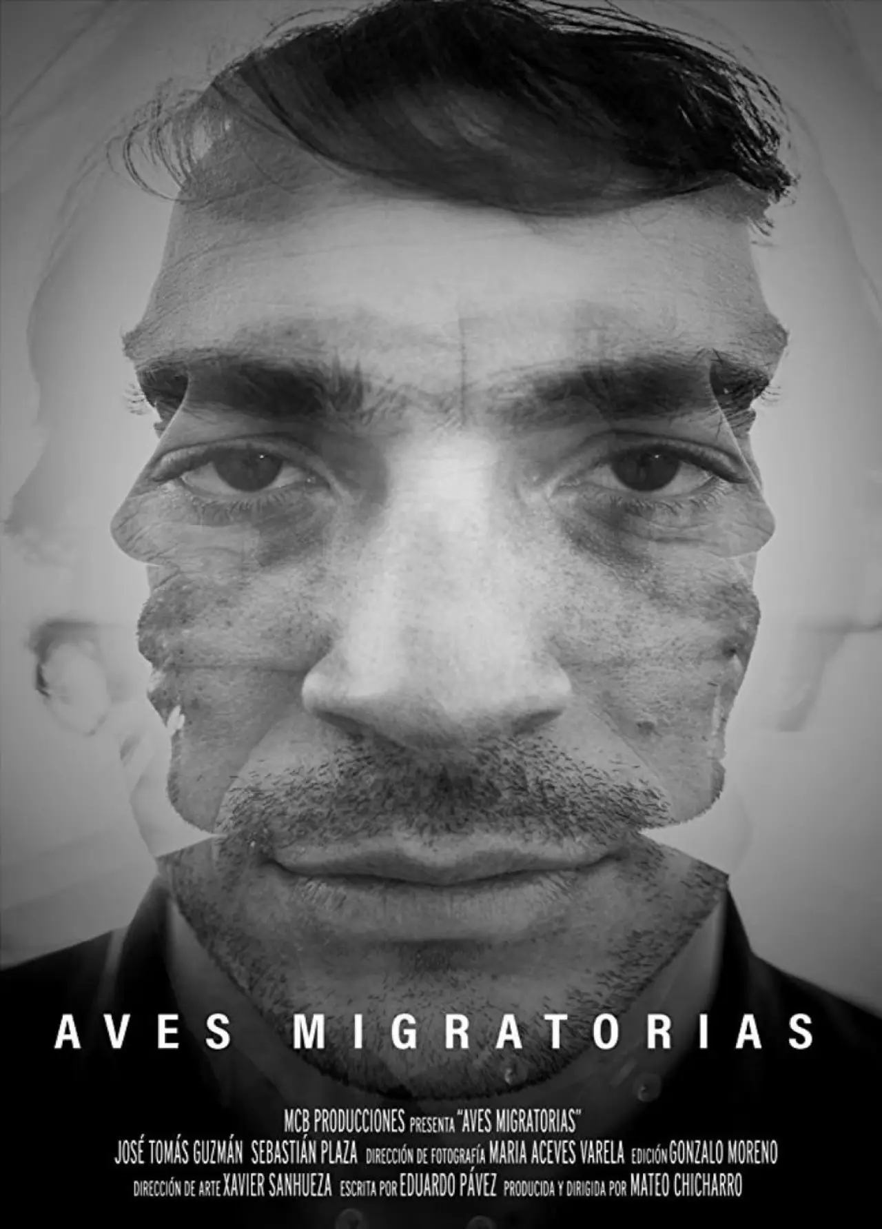 Постер к фильму "Aves migratorias"