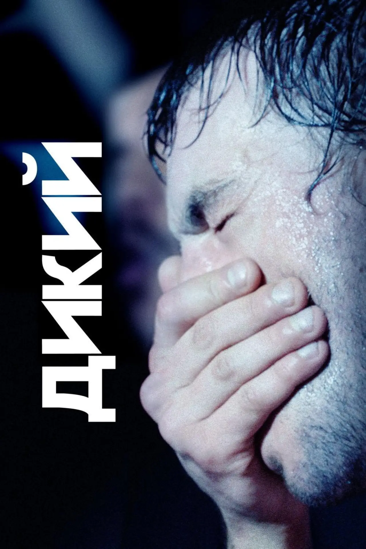 Постер к фильму "Дикий"