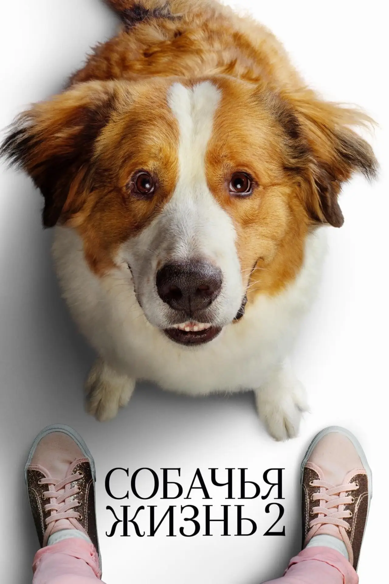 Постер к фильму "Собачья жизнь 2"