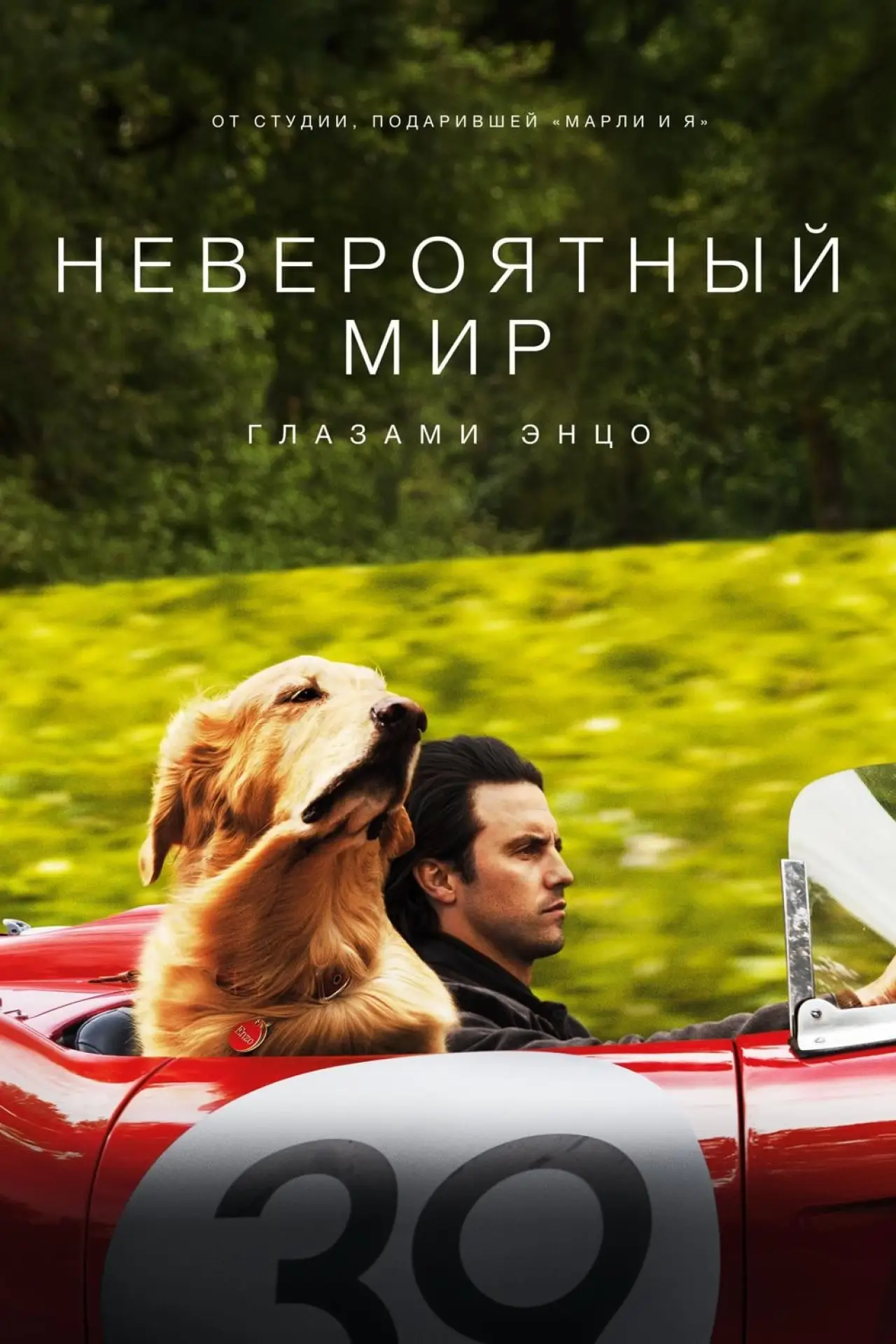 Постер к фильму "Невероятный мир глазами Энцо"