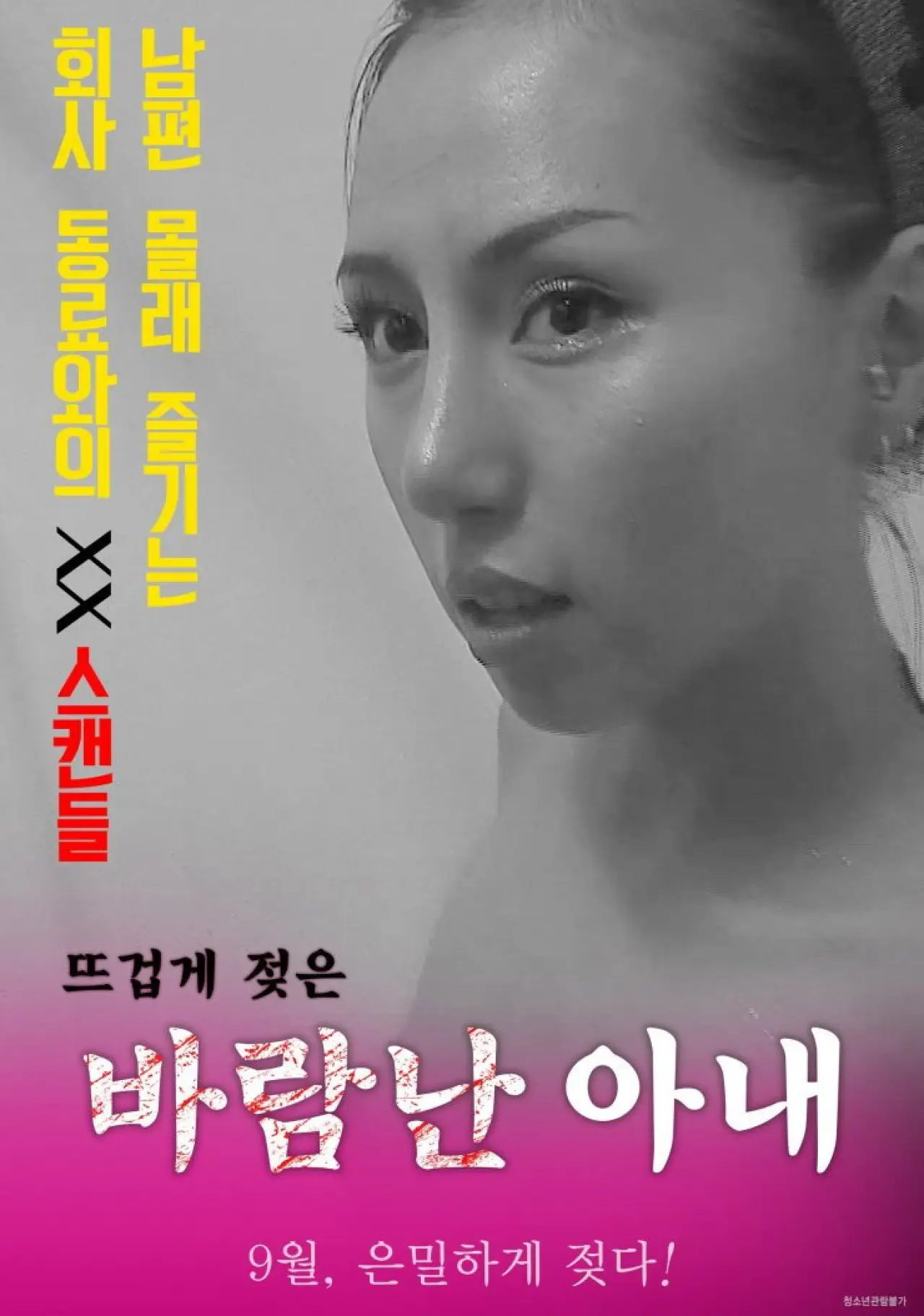 Постер к фильму "바람난 아내"