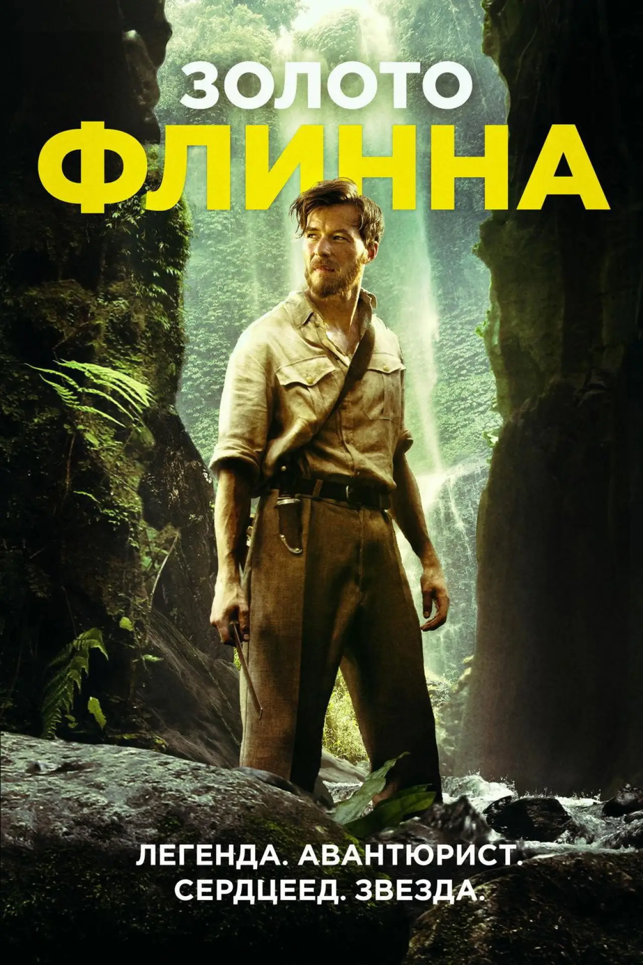 Постер к фильму "Золото Флинна"