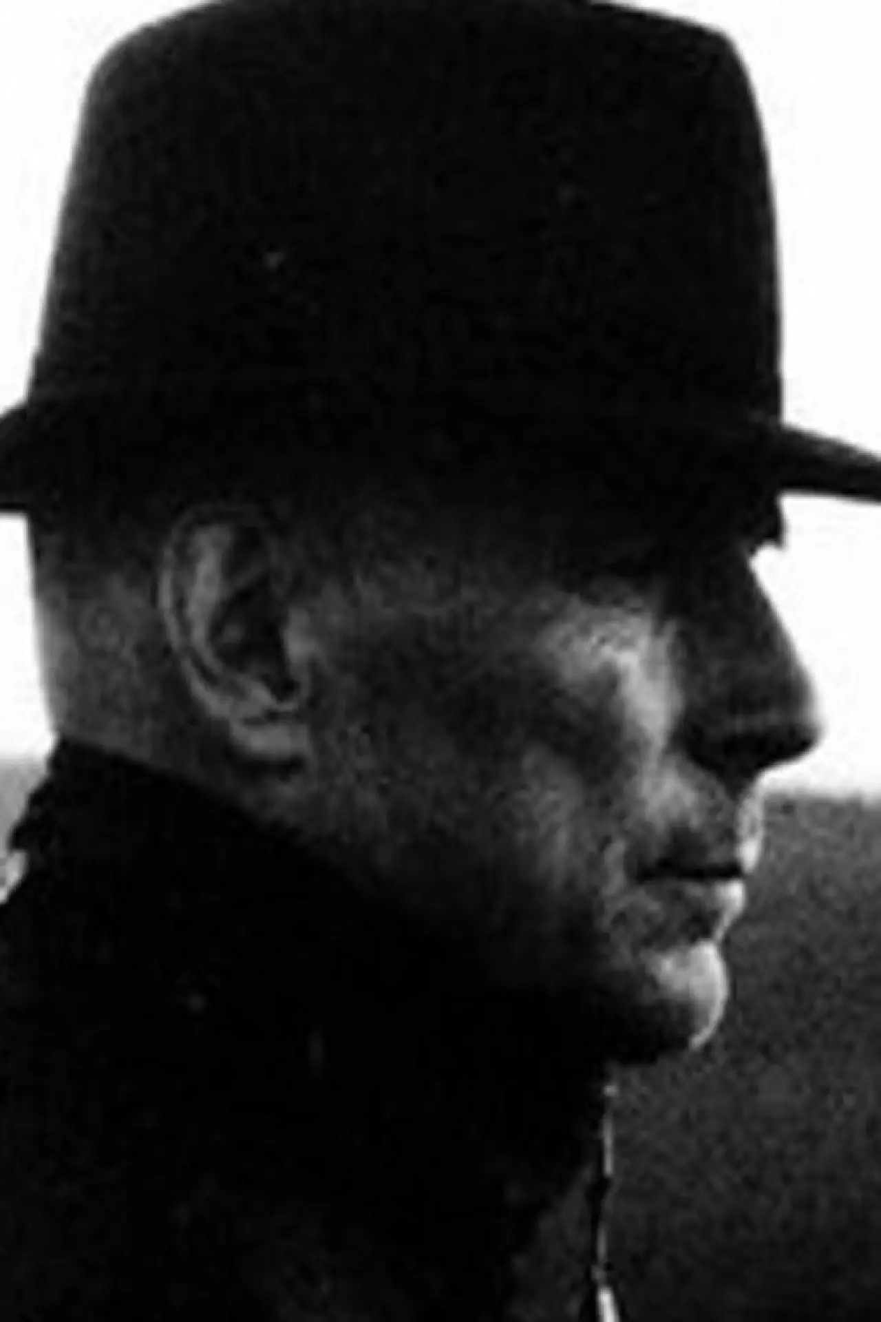Постер к фильму "Barnavännen"