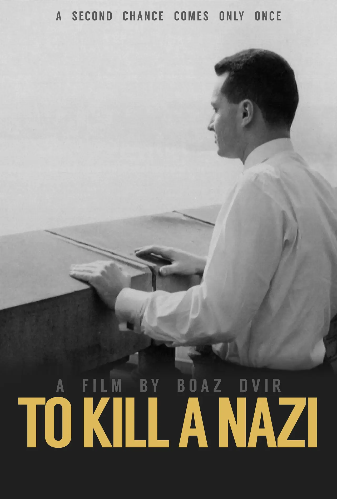 Постер к фильму "To Kill a Nazi"