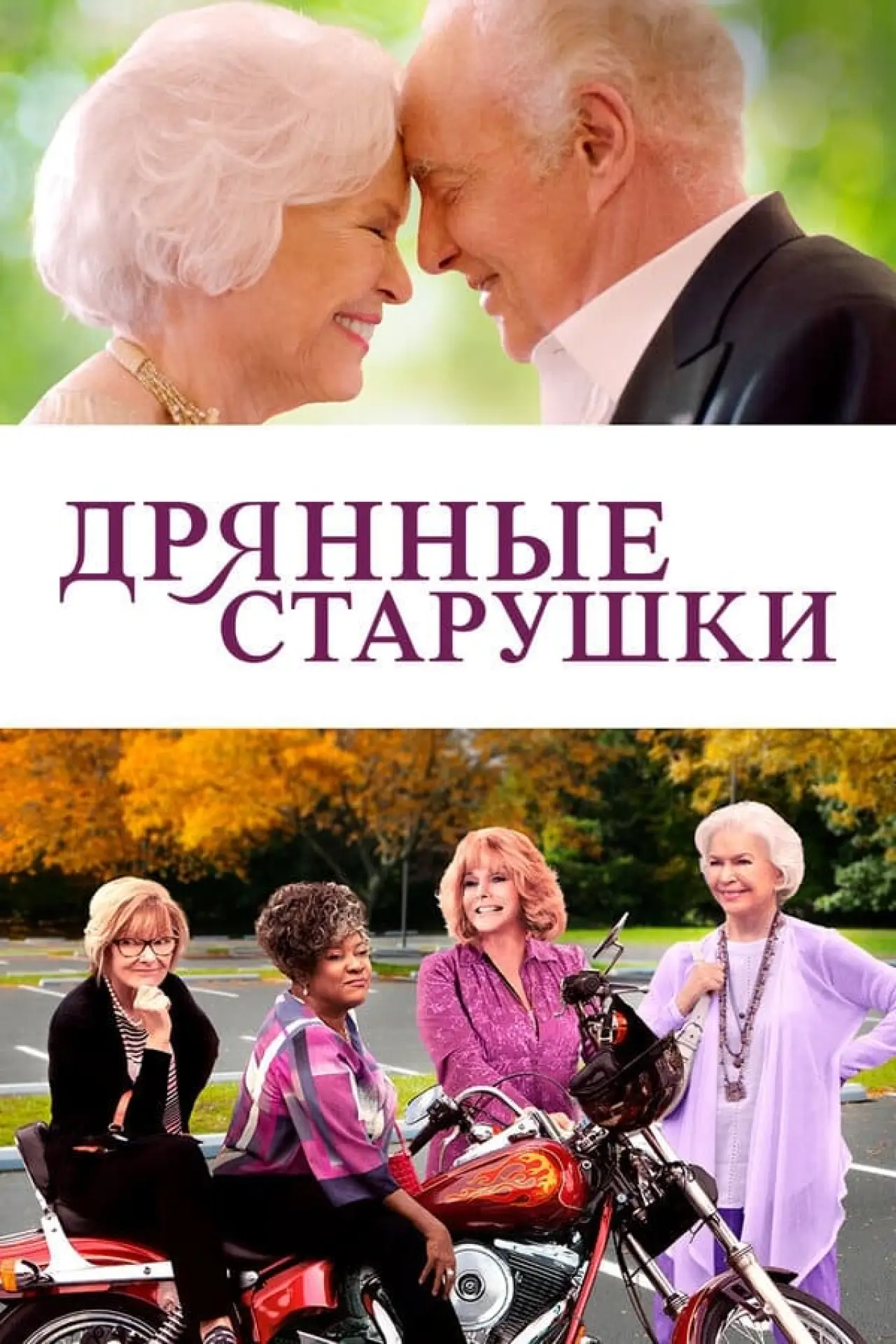 Постер к фильму "Дрянные старушки"