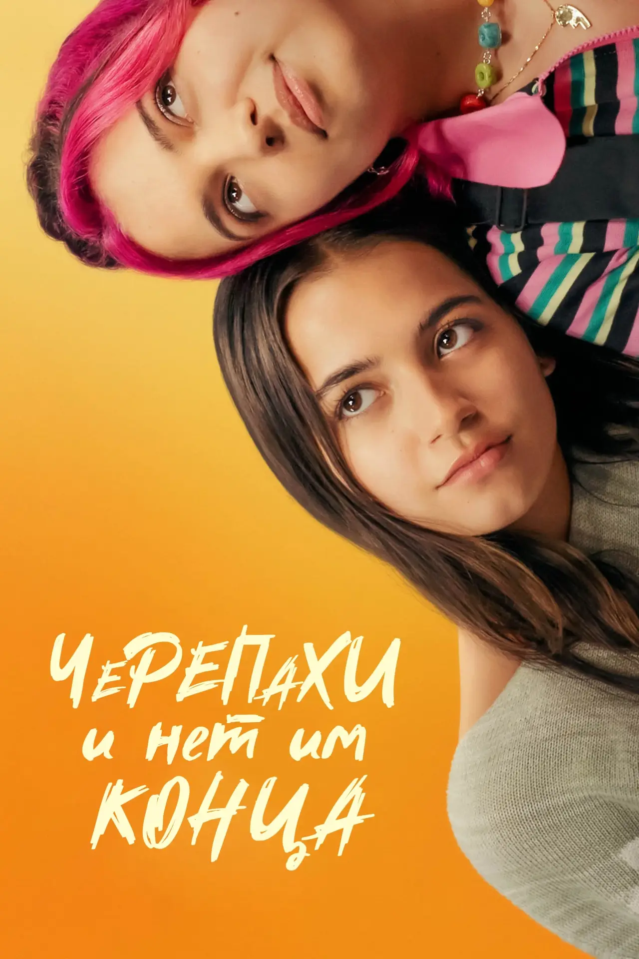 Постер к фильму "Черепахи – и нет им конца"