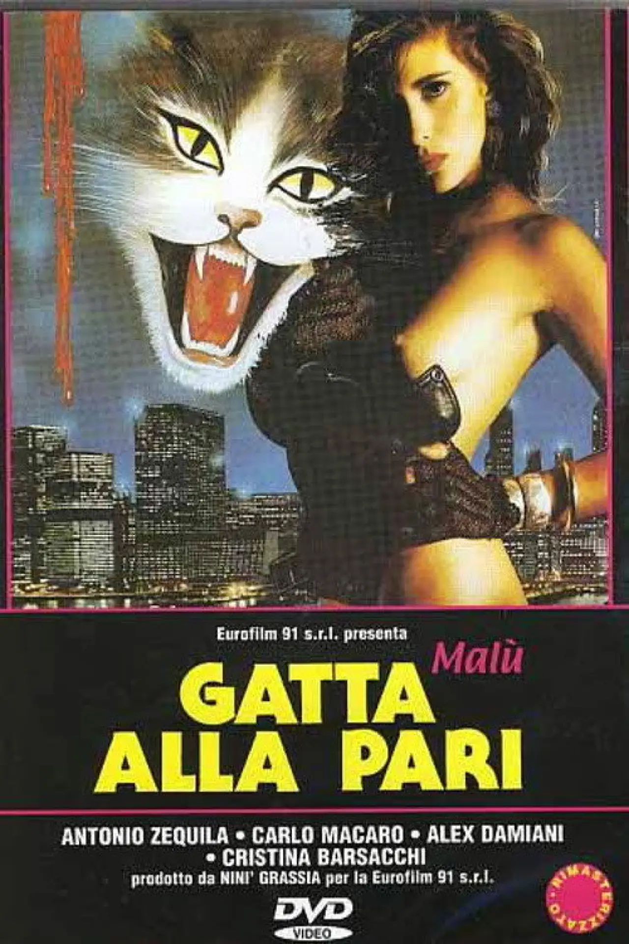 Постер к фильму "Gatta alla pari"