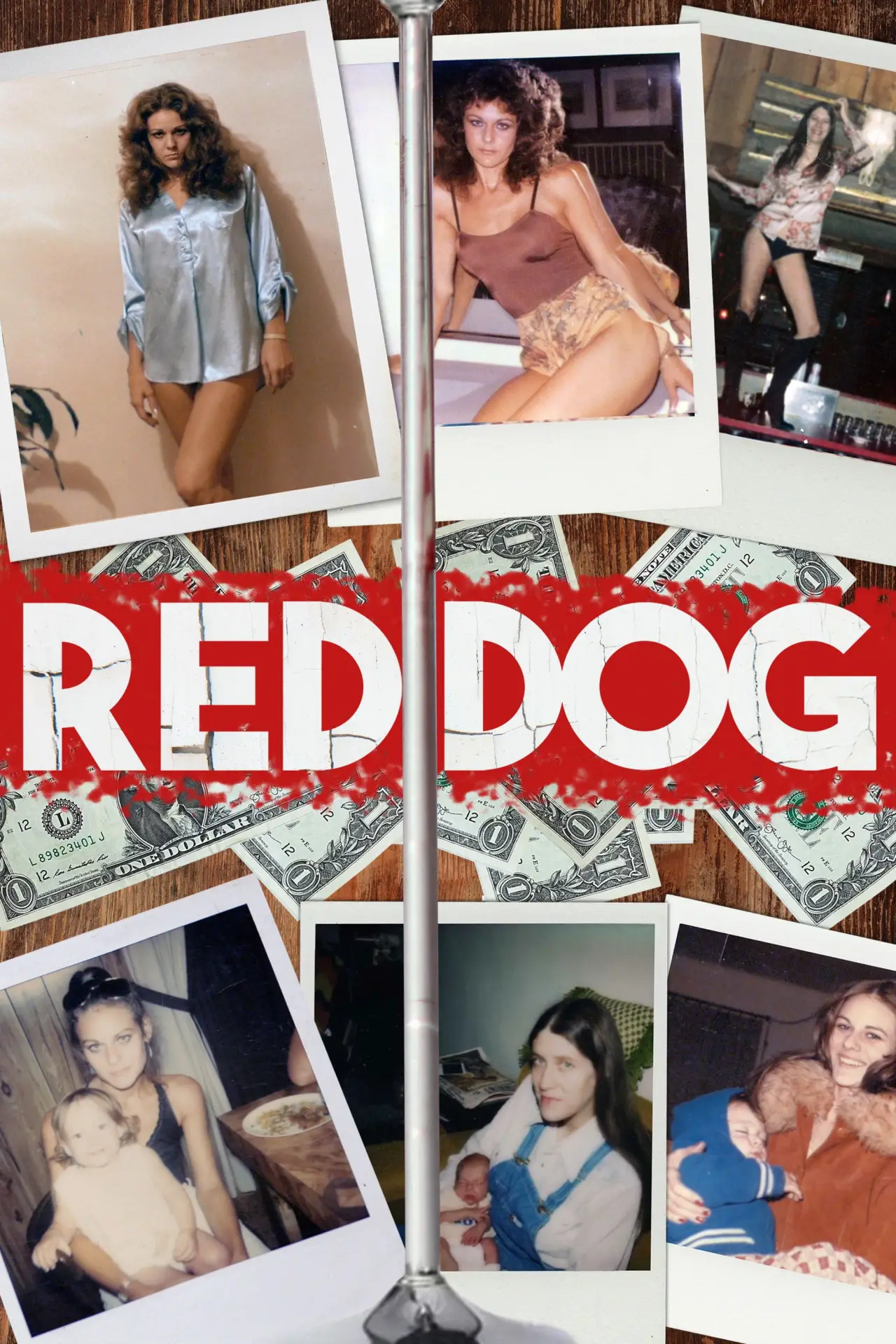 Постер к фильму "Red Dog"