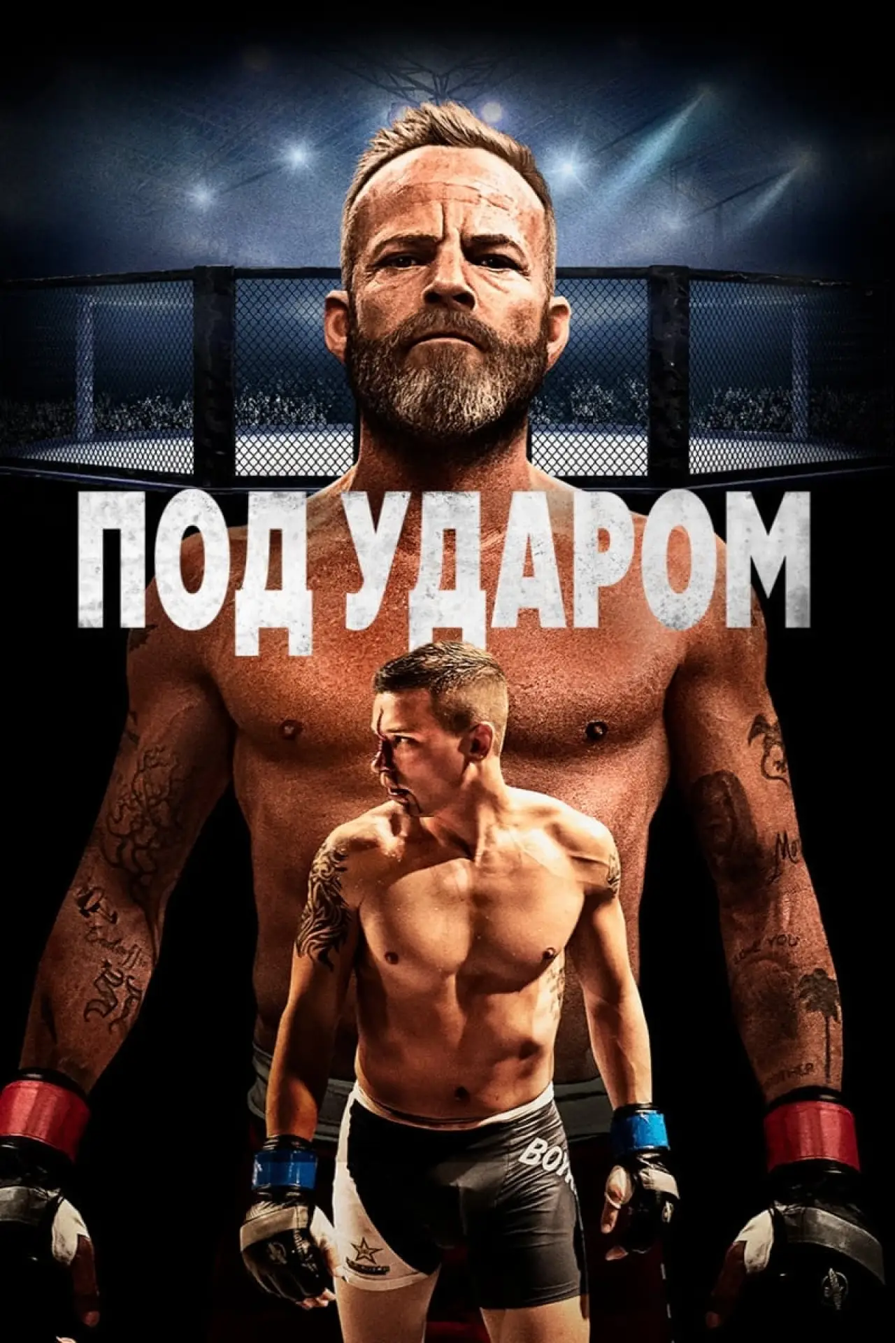 Постер к фильму "Под ударом"